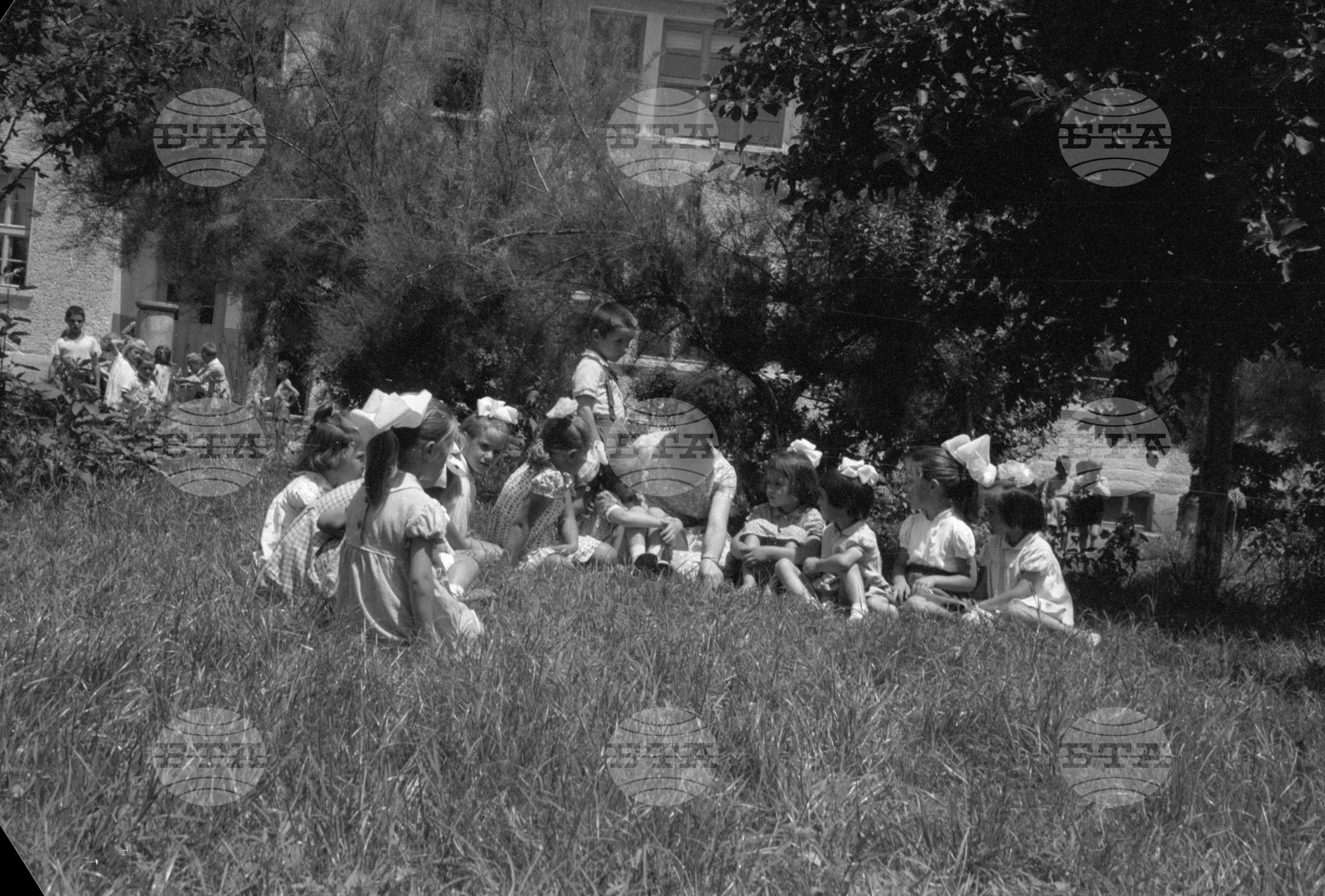 Жътва 1963 година