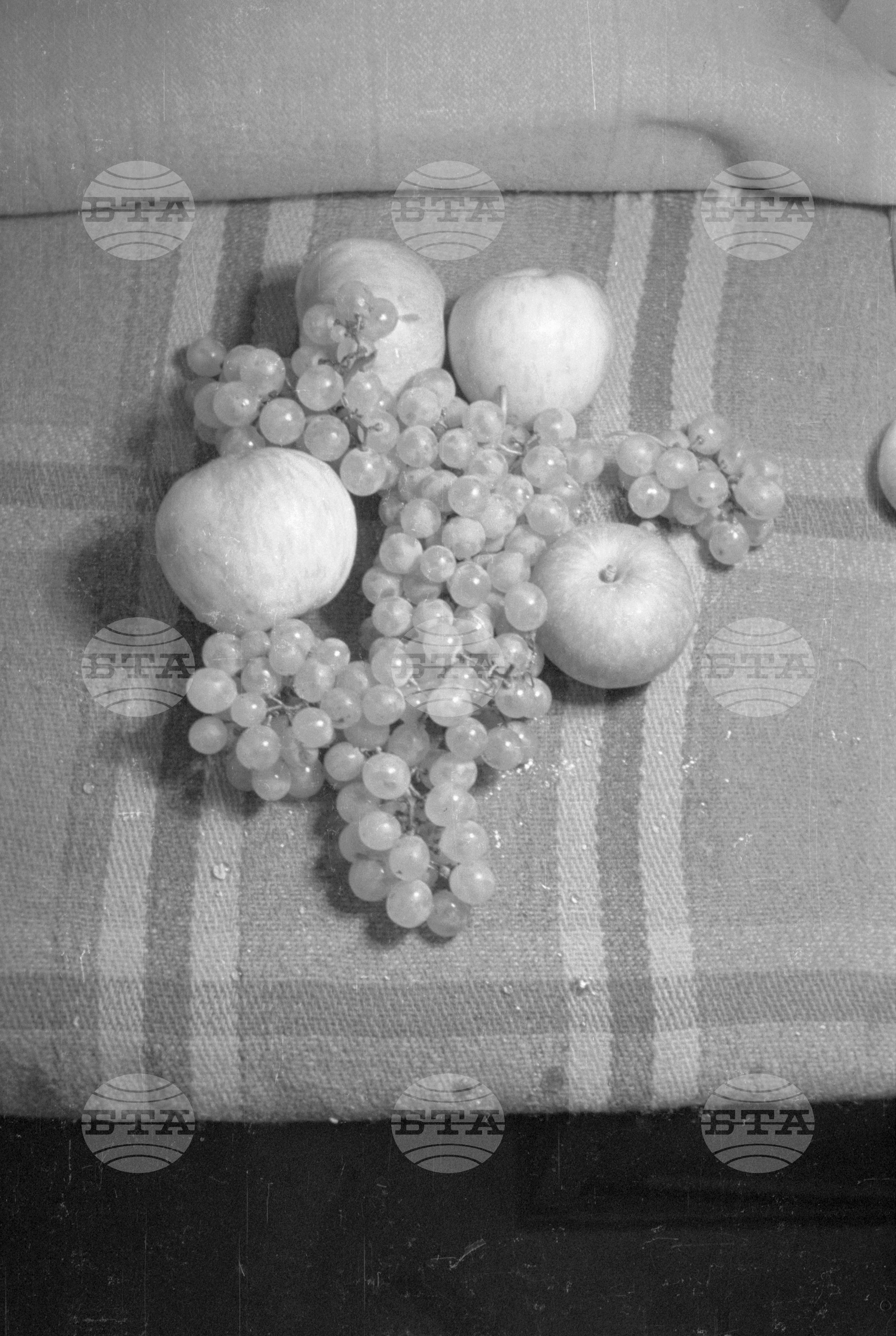 Из Кюстендилски окръг - септември 1962 година