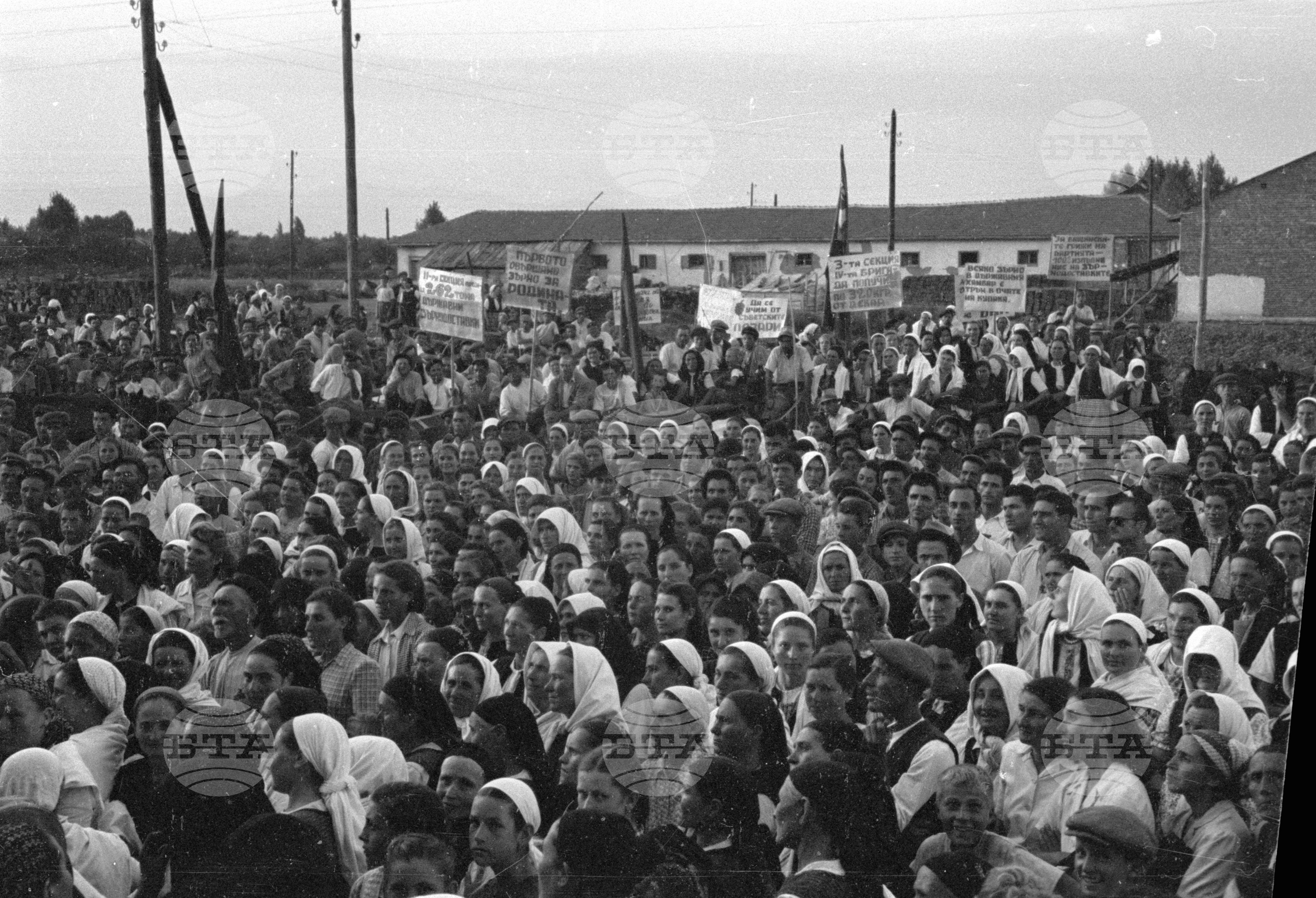 Предаване на зърнодоставки в Голямо Конаре (днес град Съединение), 1951