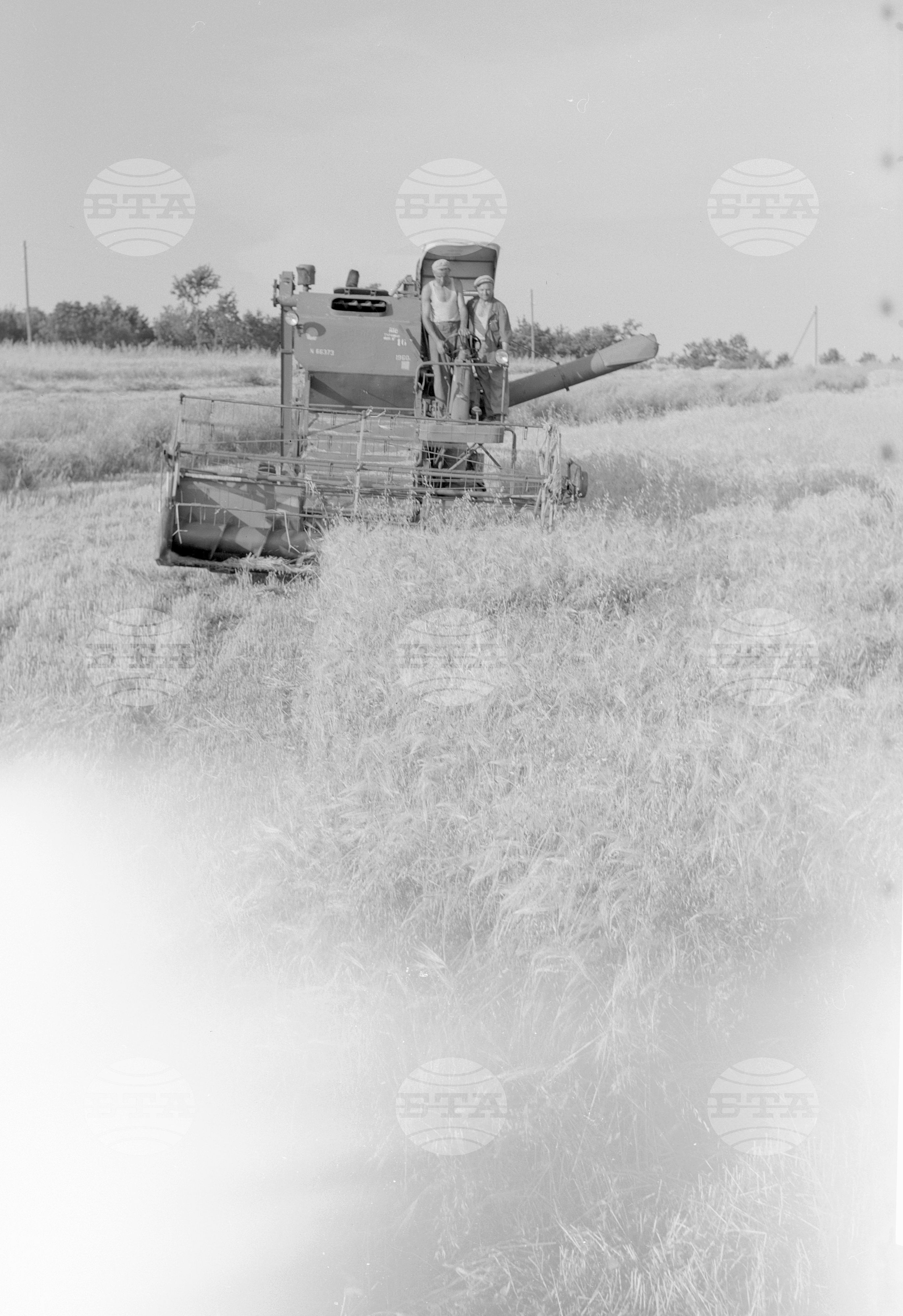 Жътва в Търновски окръг 1963 година
