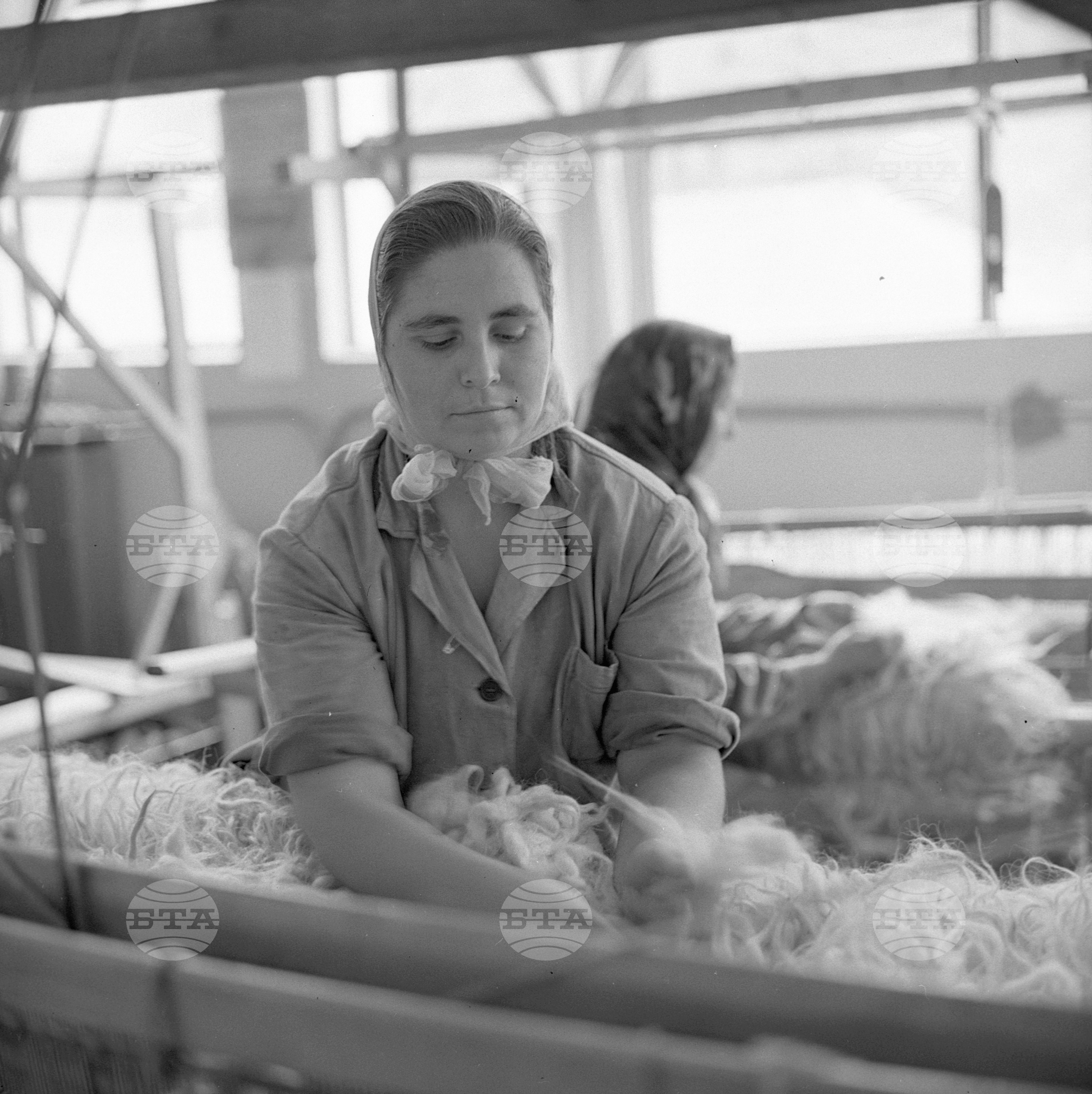 ДИП "Слънце" в Смолян