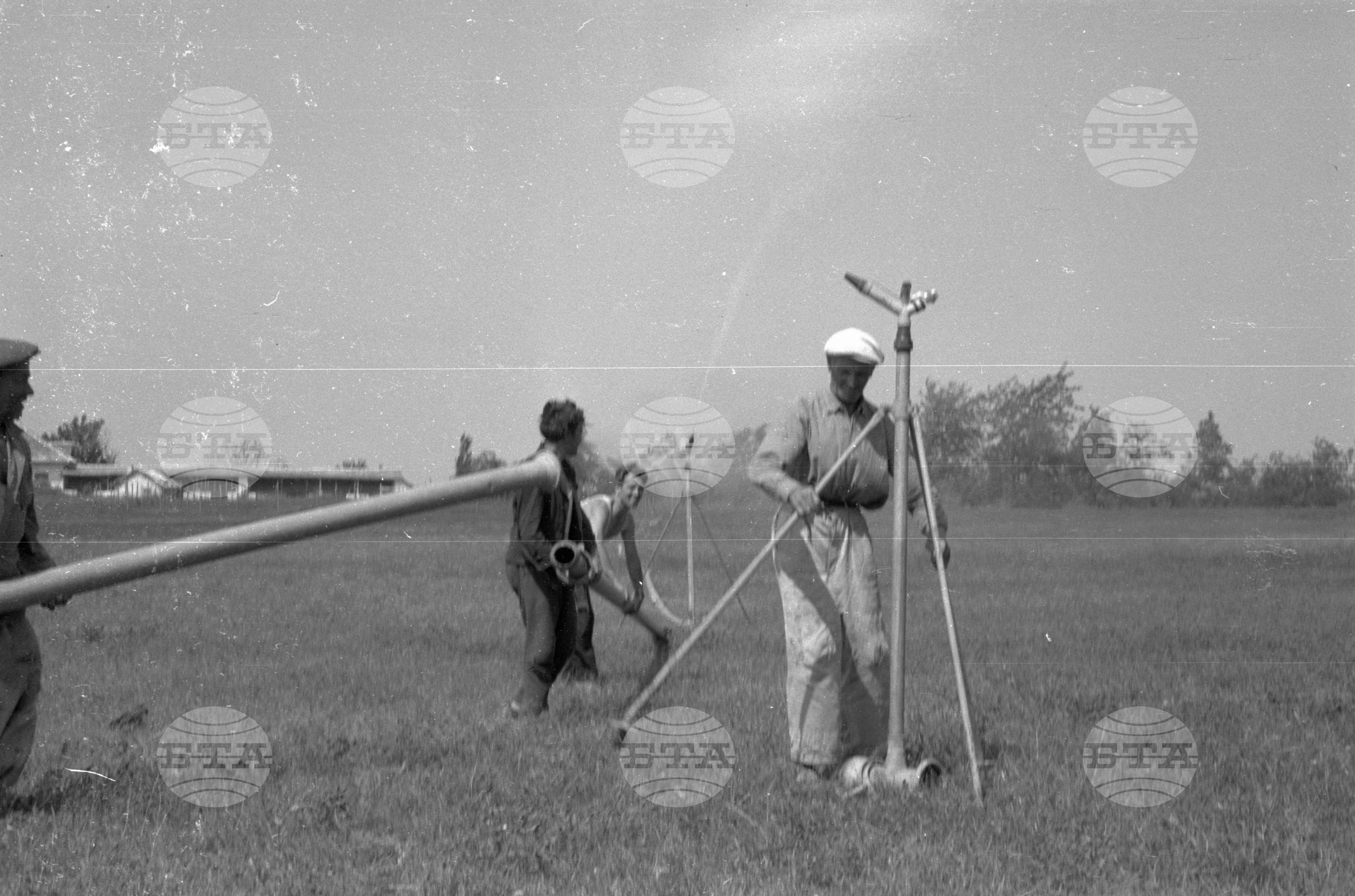 Из Видински окръг 1963 година