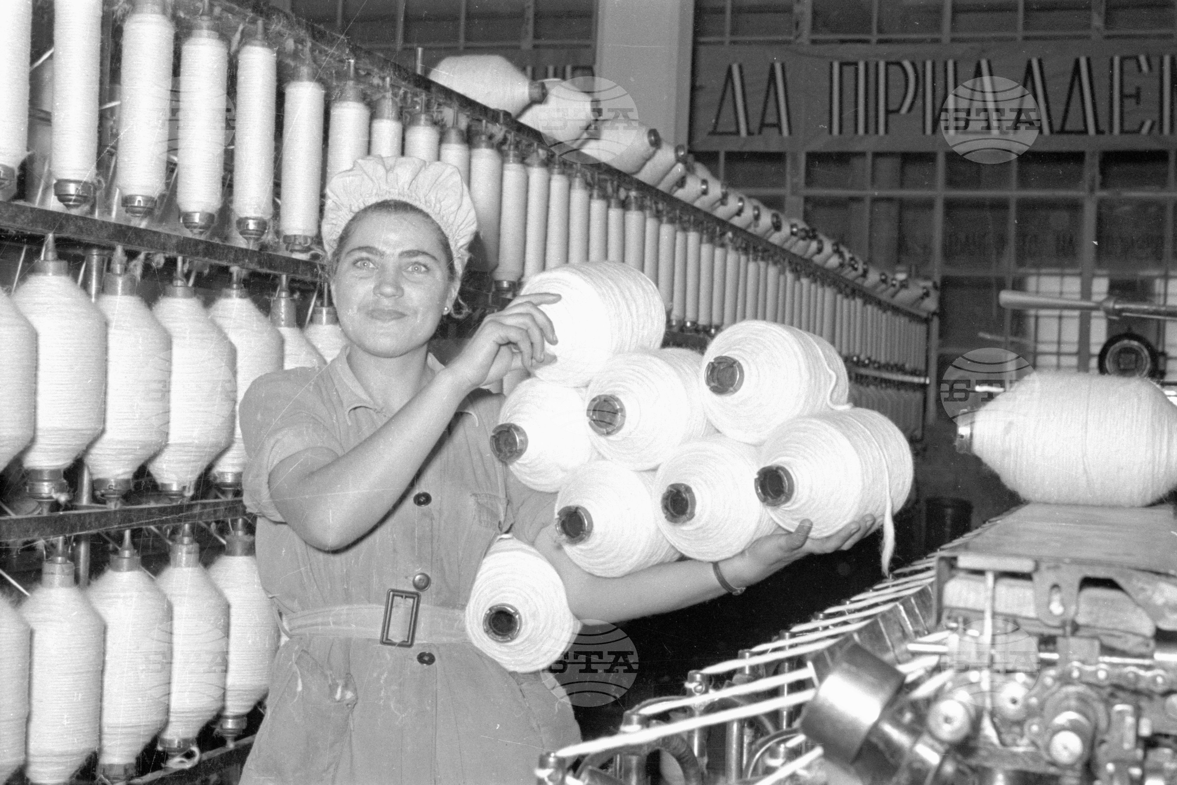 Предачна фабрика „България" - 1953 година