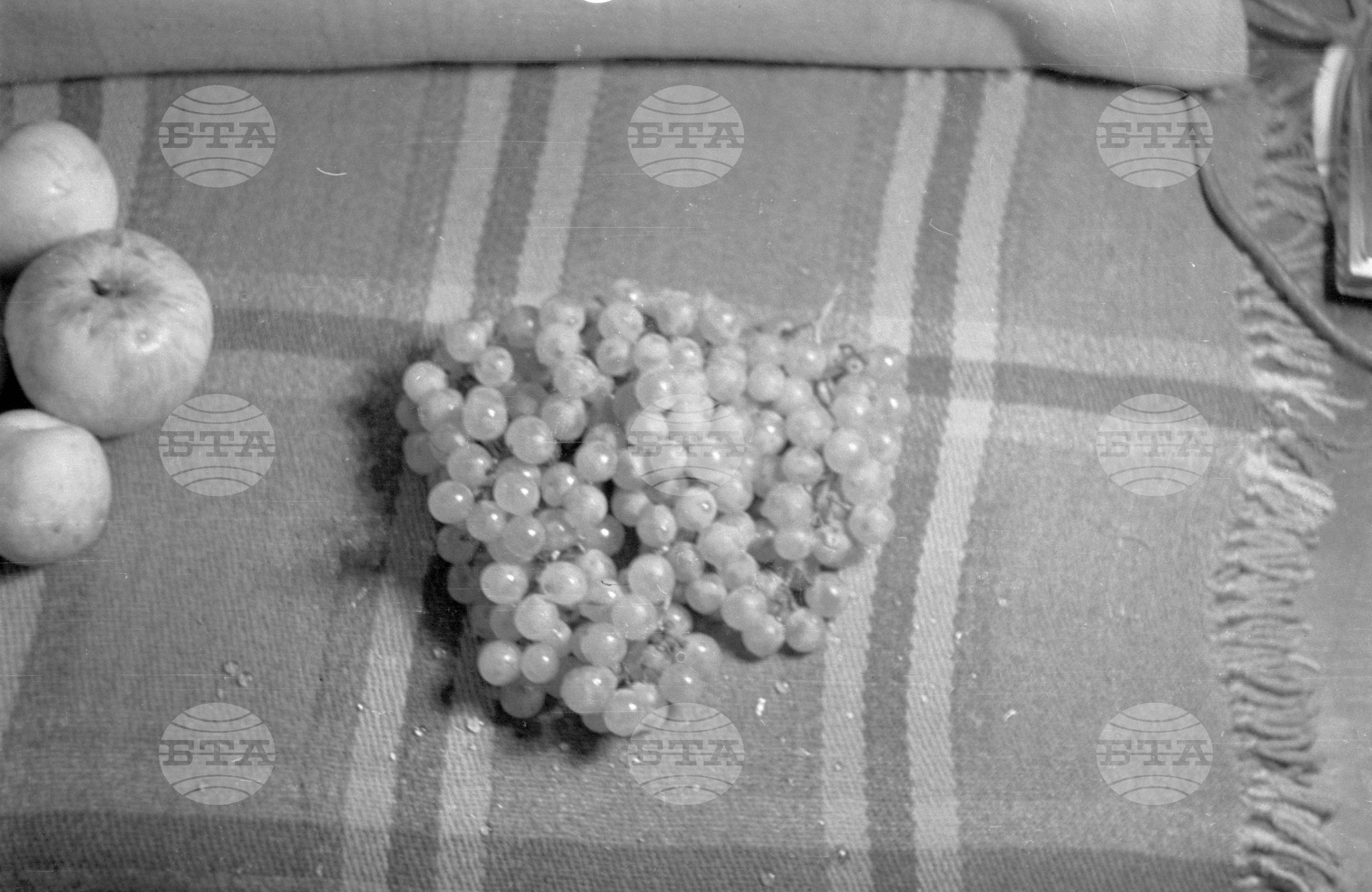 Из Кюстендилски окръг - септември 1962 година