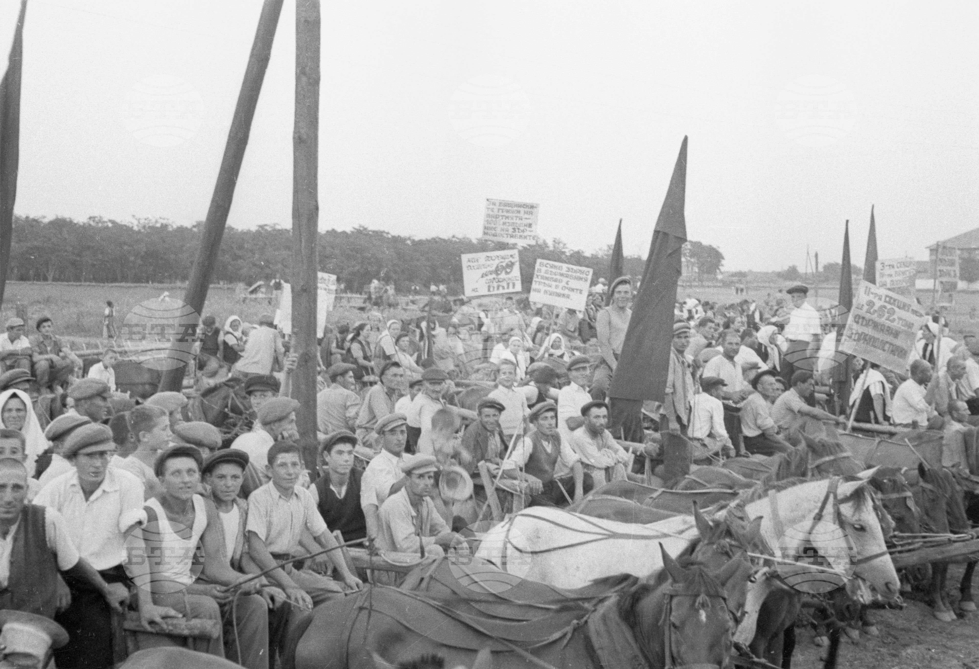 Предаване на зърнодоставки в Голямо Конаре (днес град Съединение), 1951