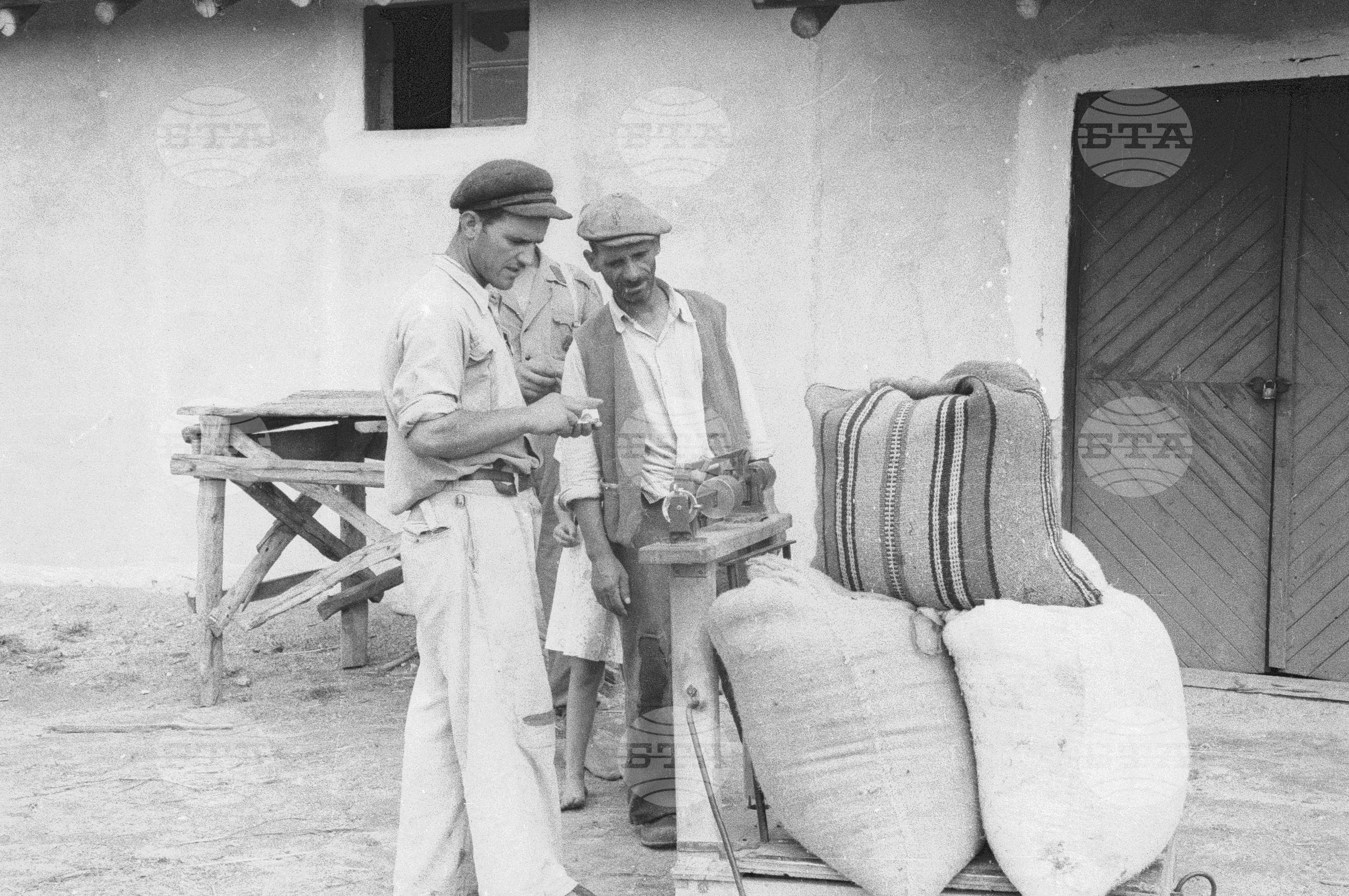 Трудово кооперативно земеделско сдружение (ТКЗС) Сухозем, 1951