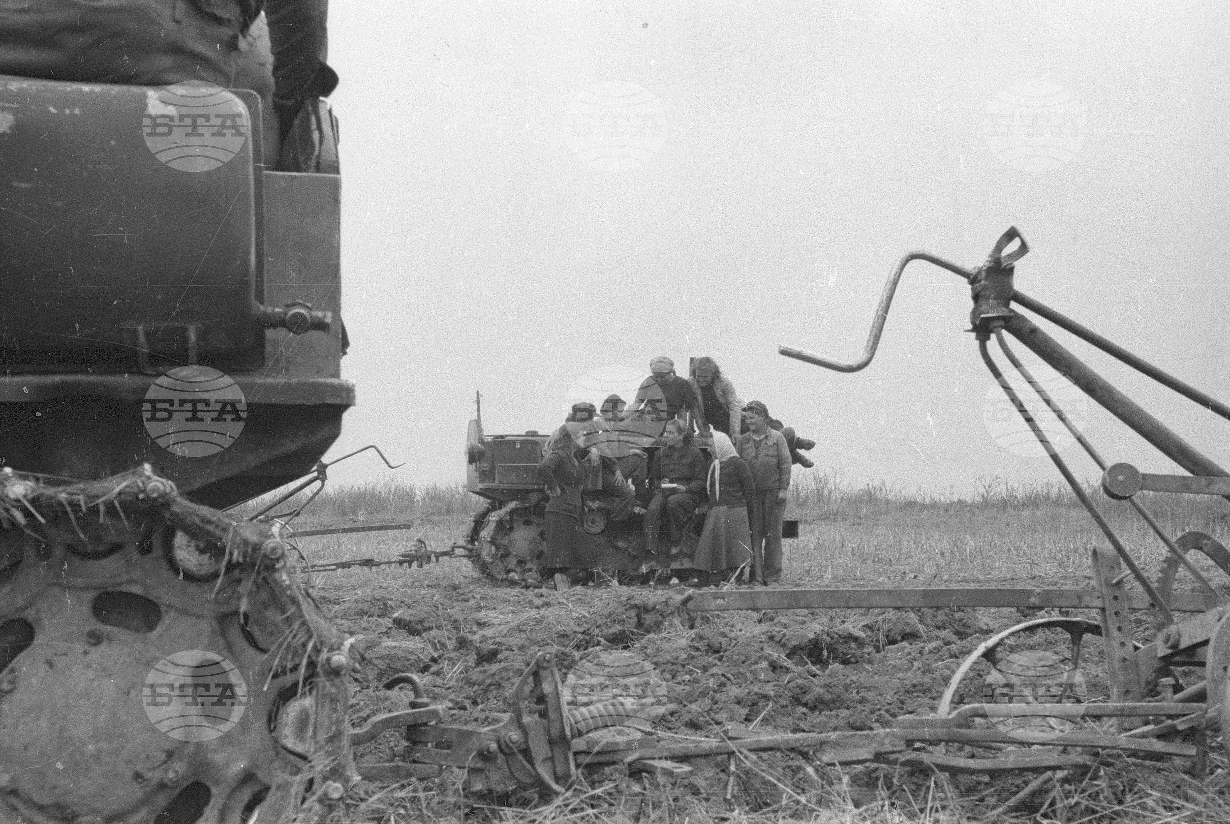 Трудово кооперативно земеделско сдружение (ТКЗС) Сухозем, 1951