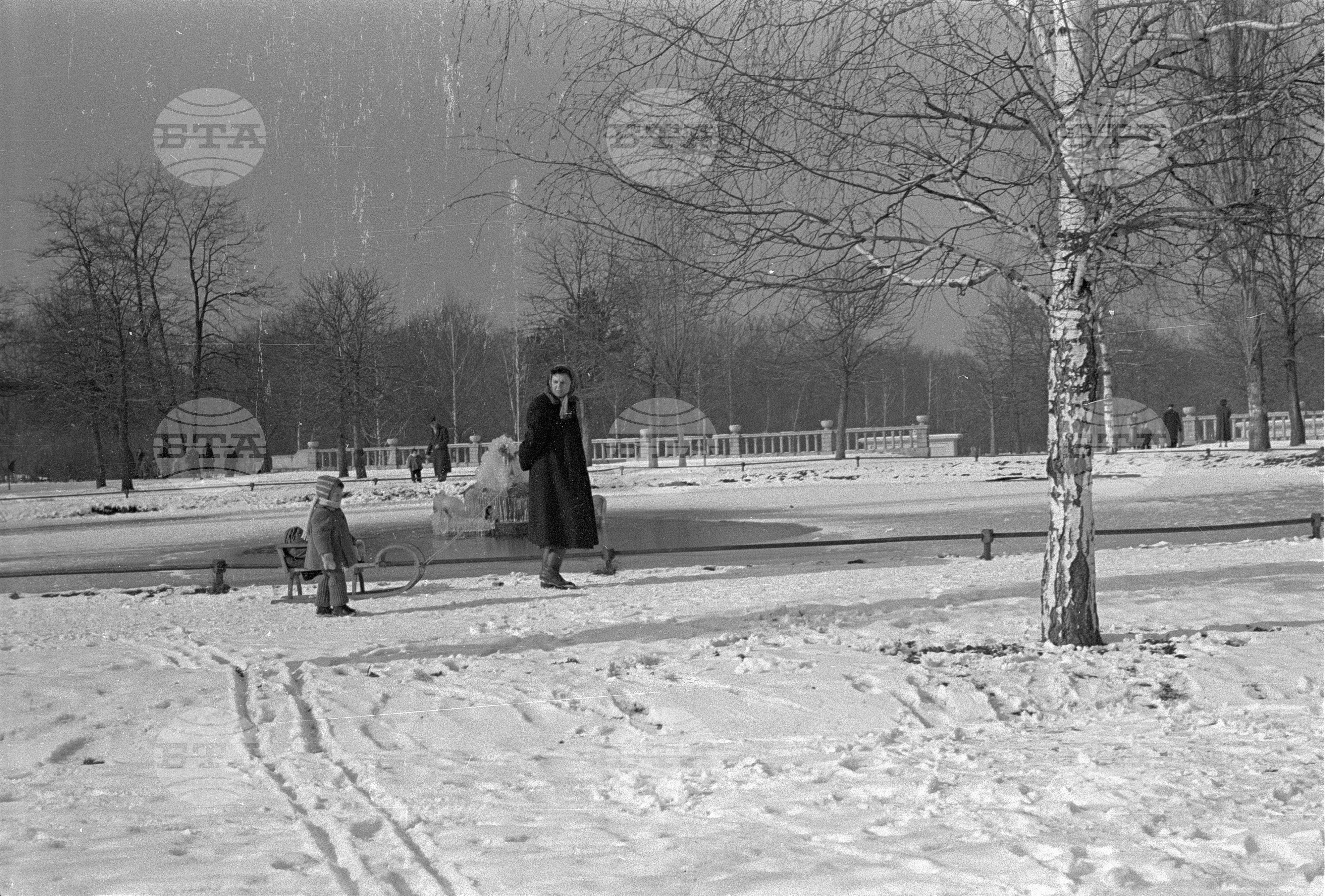 Зимни пейзажи от Парка на свободата в София - 1953 година