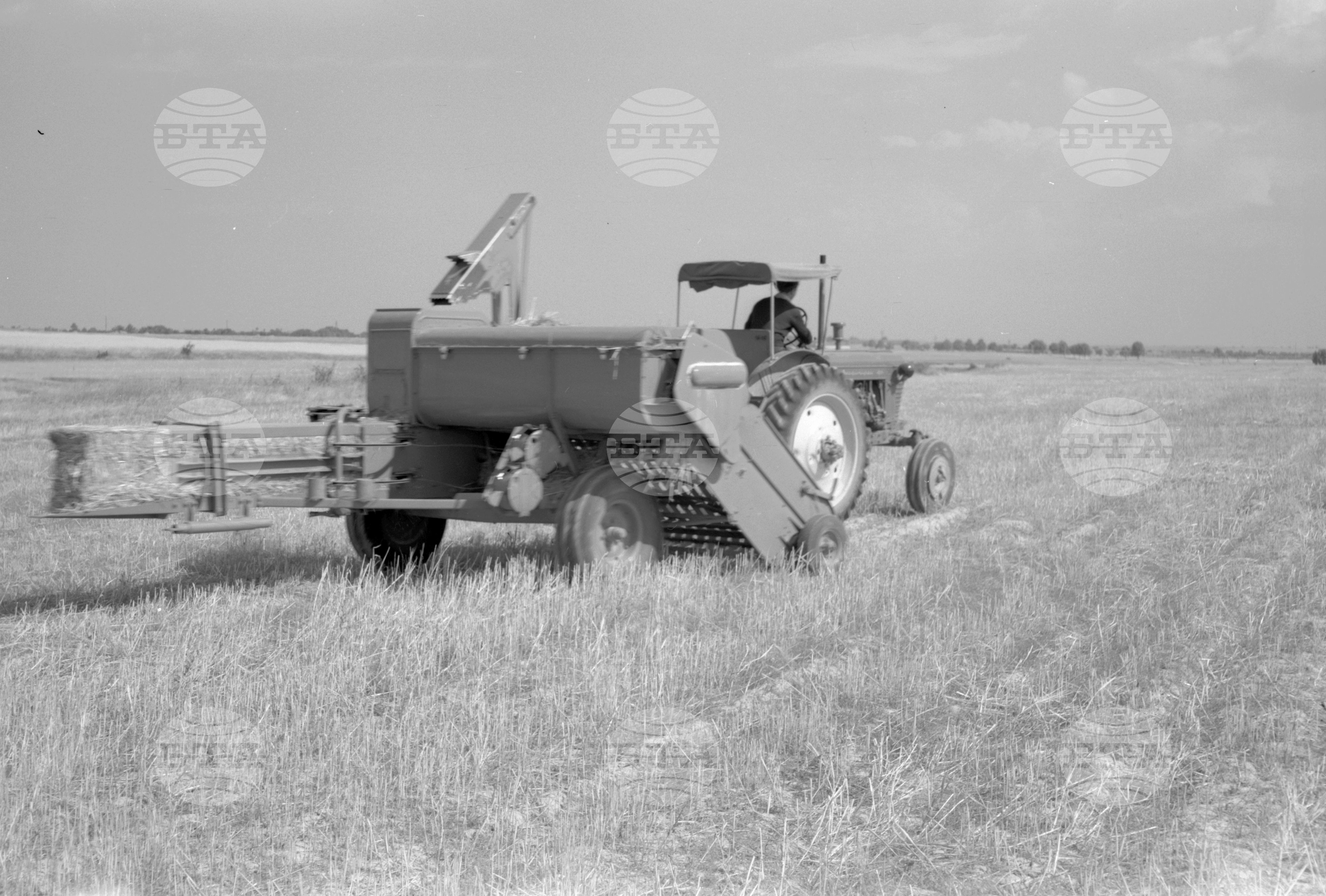 Из Пловдивски окръг - 1963