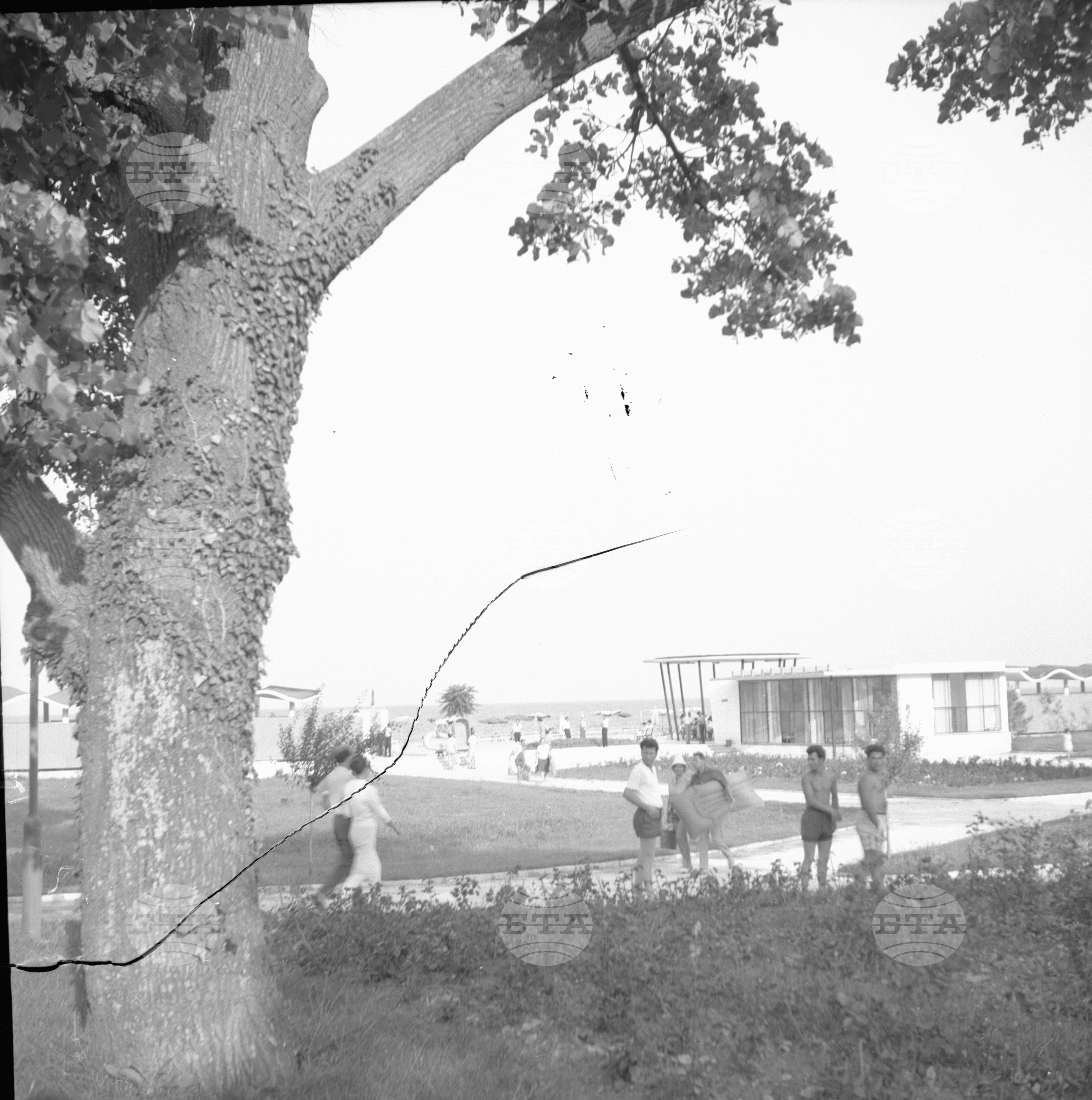 "Златни пясъци" - 1963