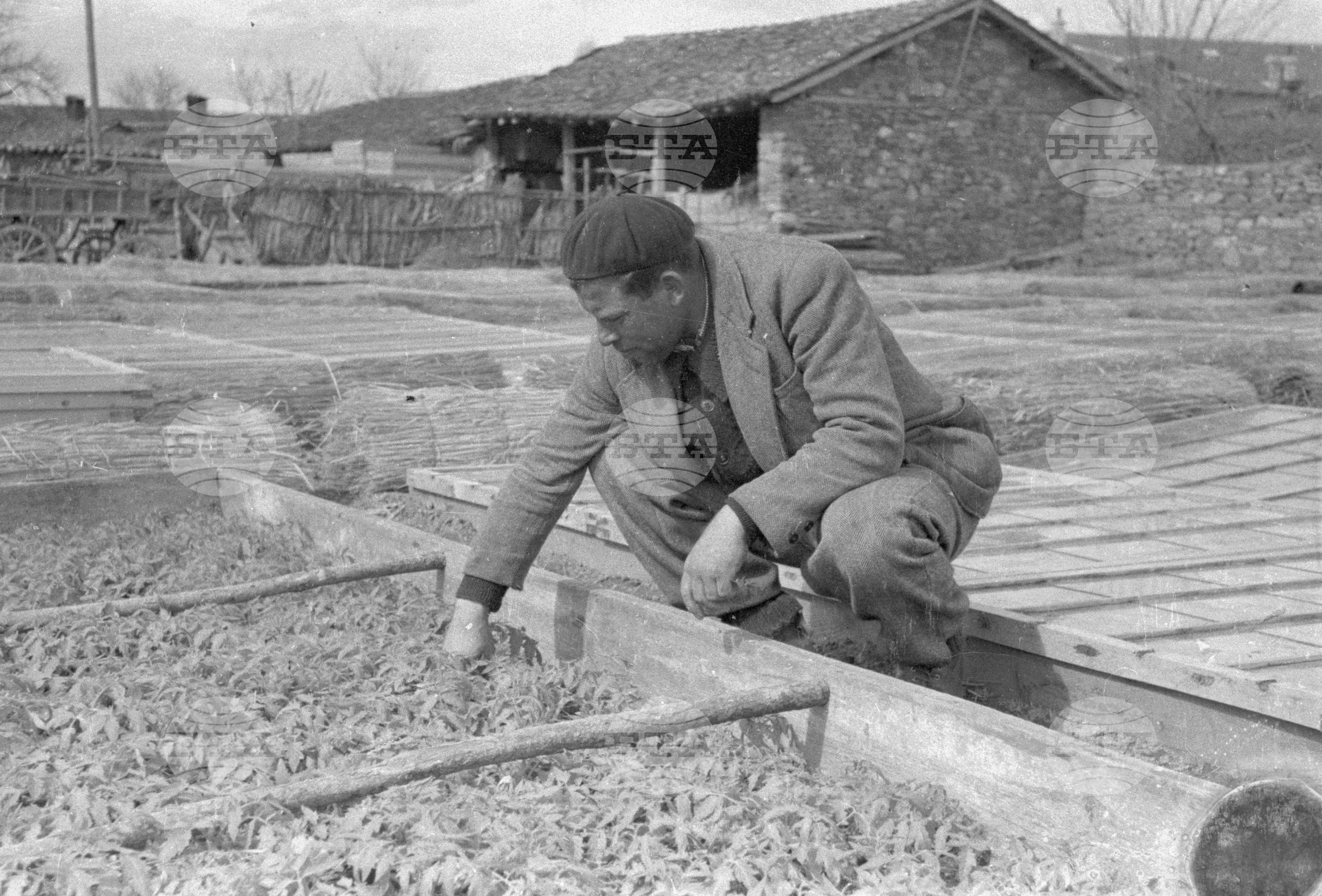 ТКЗС (Трудово кооперативно земеделско стопанство)  - село Коматево
