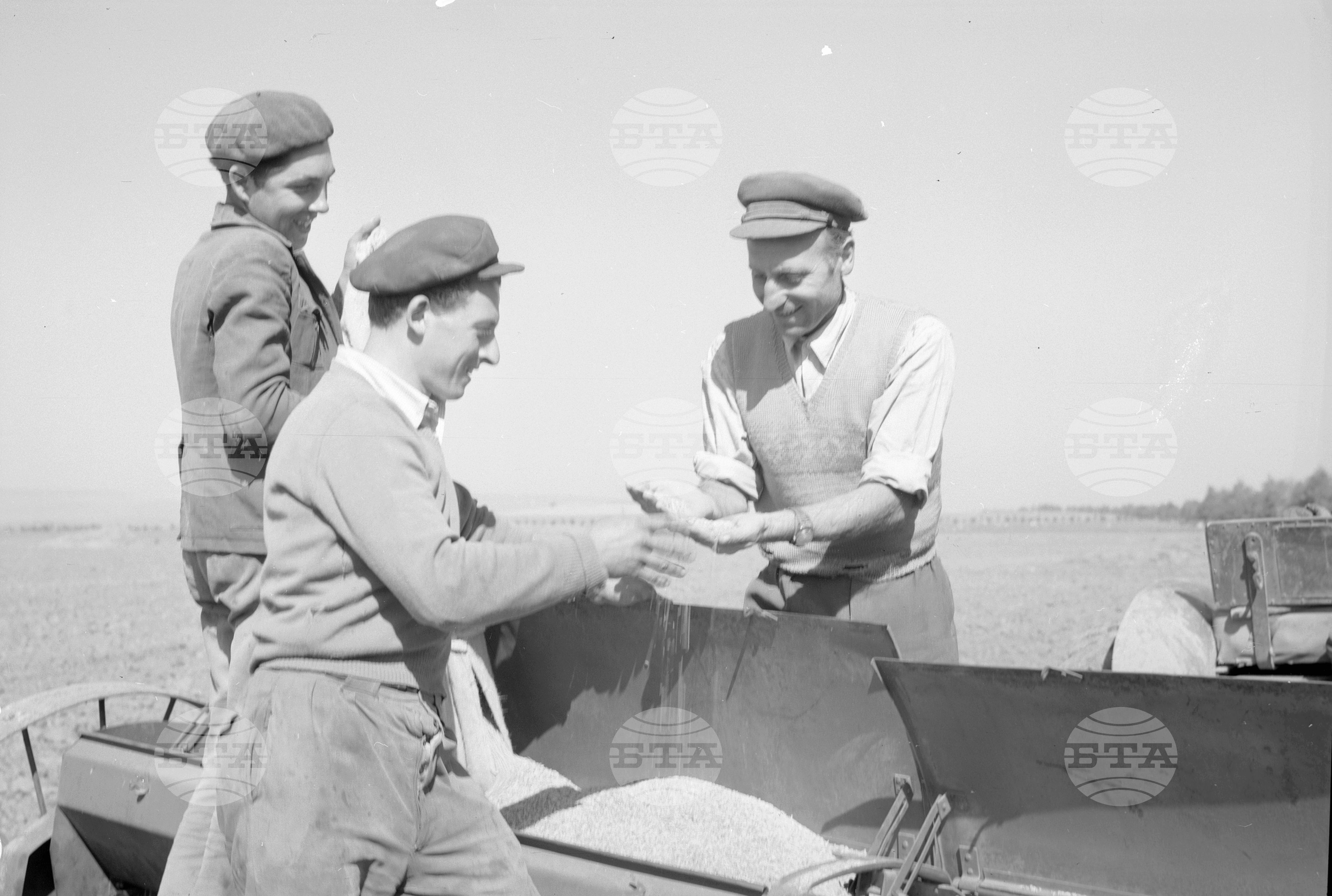 Сеитба в Трудово кооперативно земеделско стопанство (ТКЗС) в с. Капитановци, Видински окръг