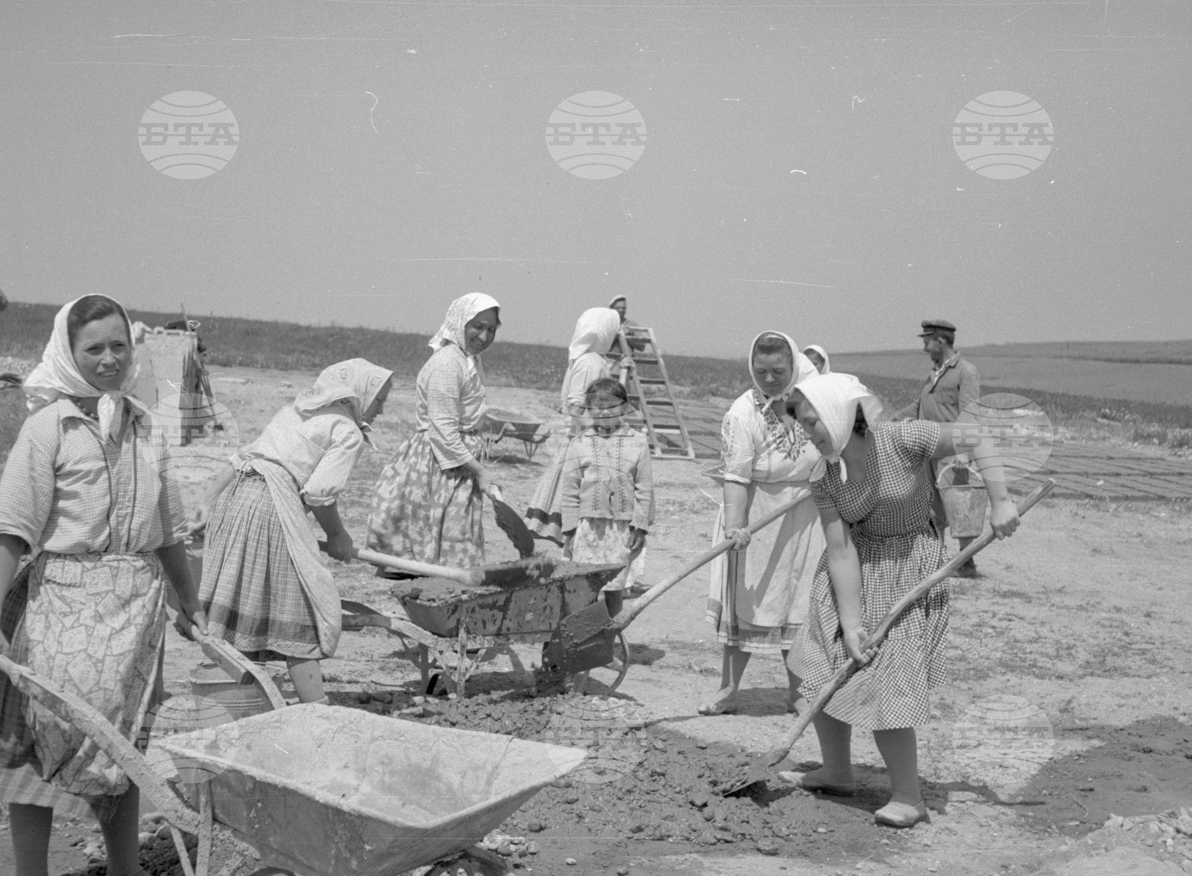 Снимки от Видински окръг - 1963