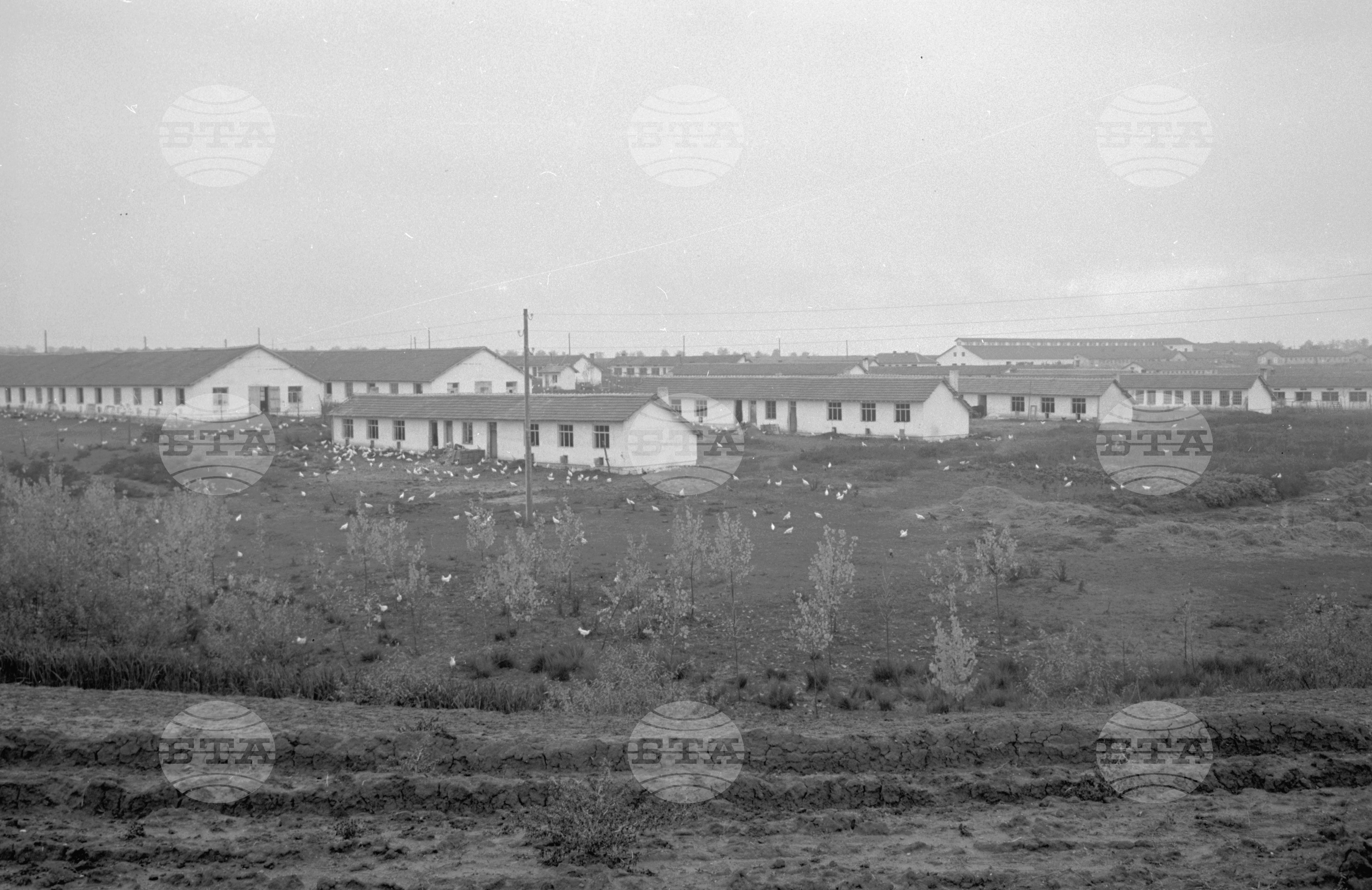 Из ТКЗС XXII конгрес на КПСС - село Расово, Михайловградски окръг (днес Монтана) част 2