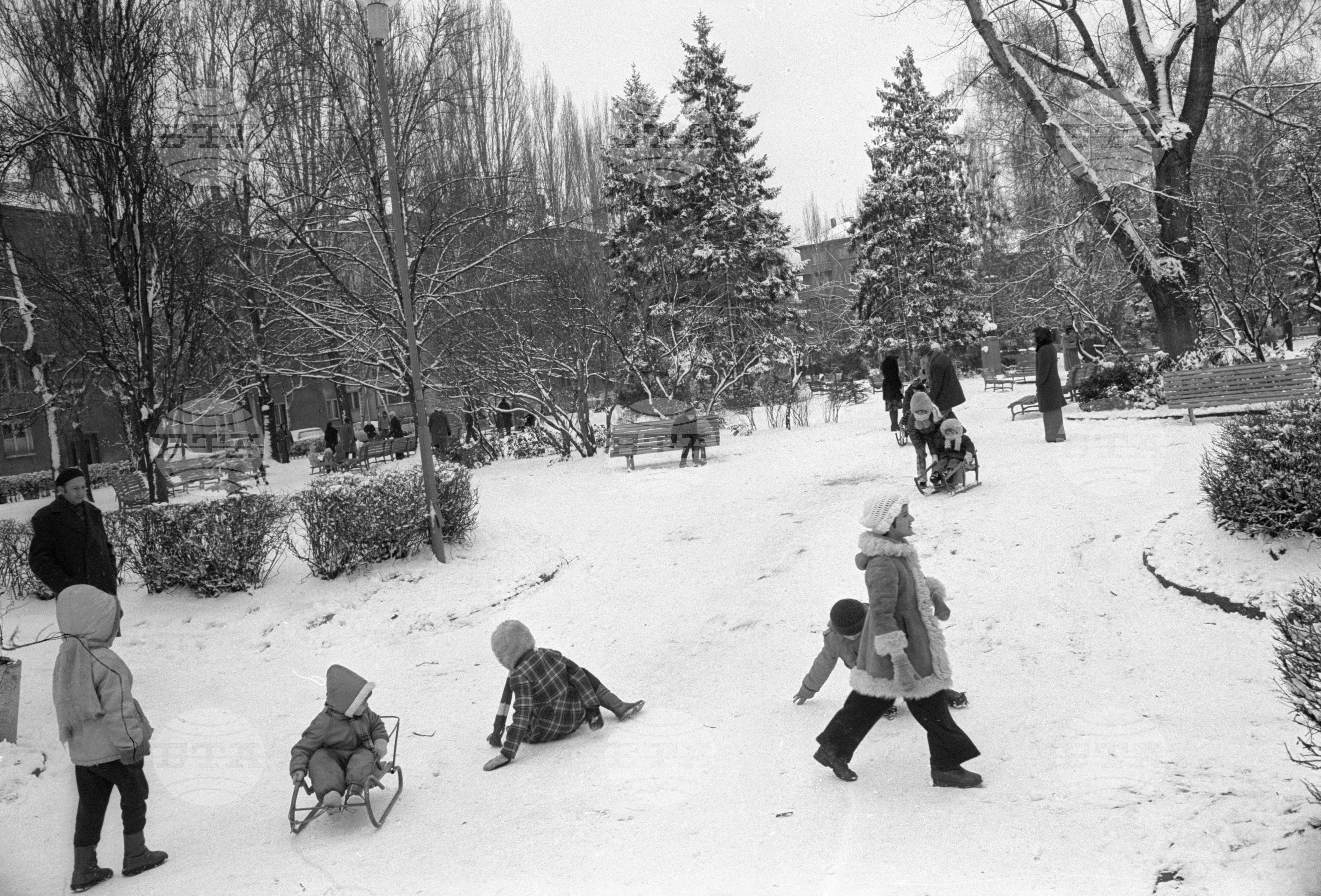 Снежна София