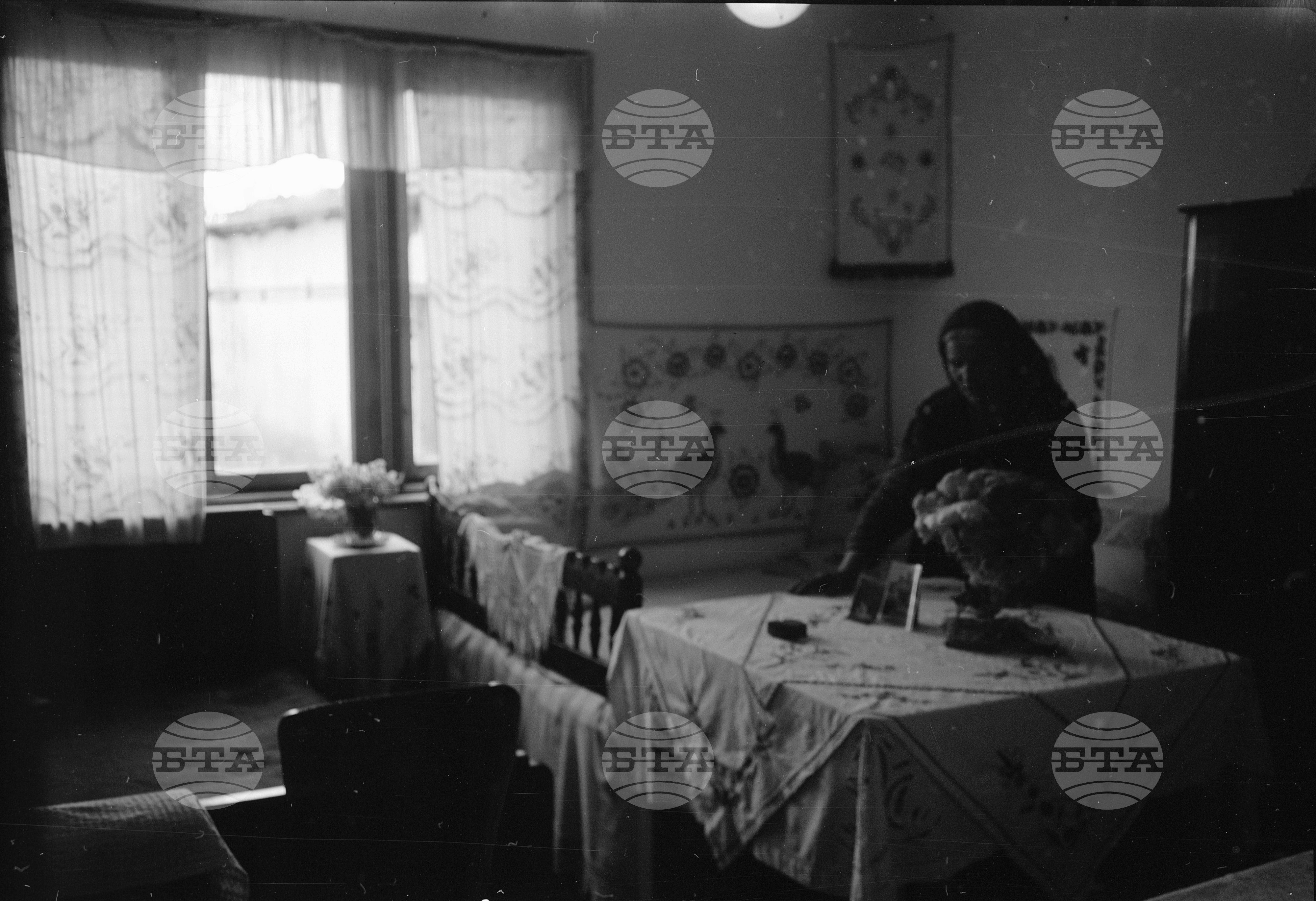 Нови къщи на кооператори в с. Зимница, Ямболски окръг