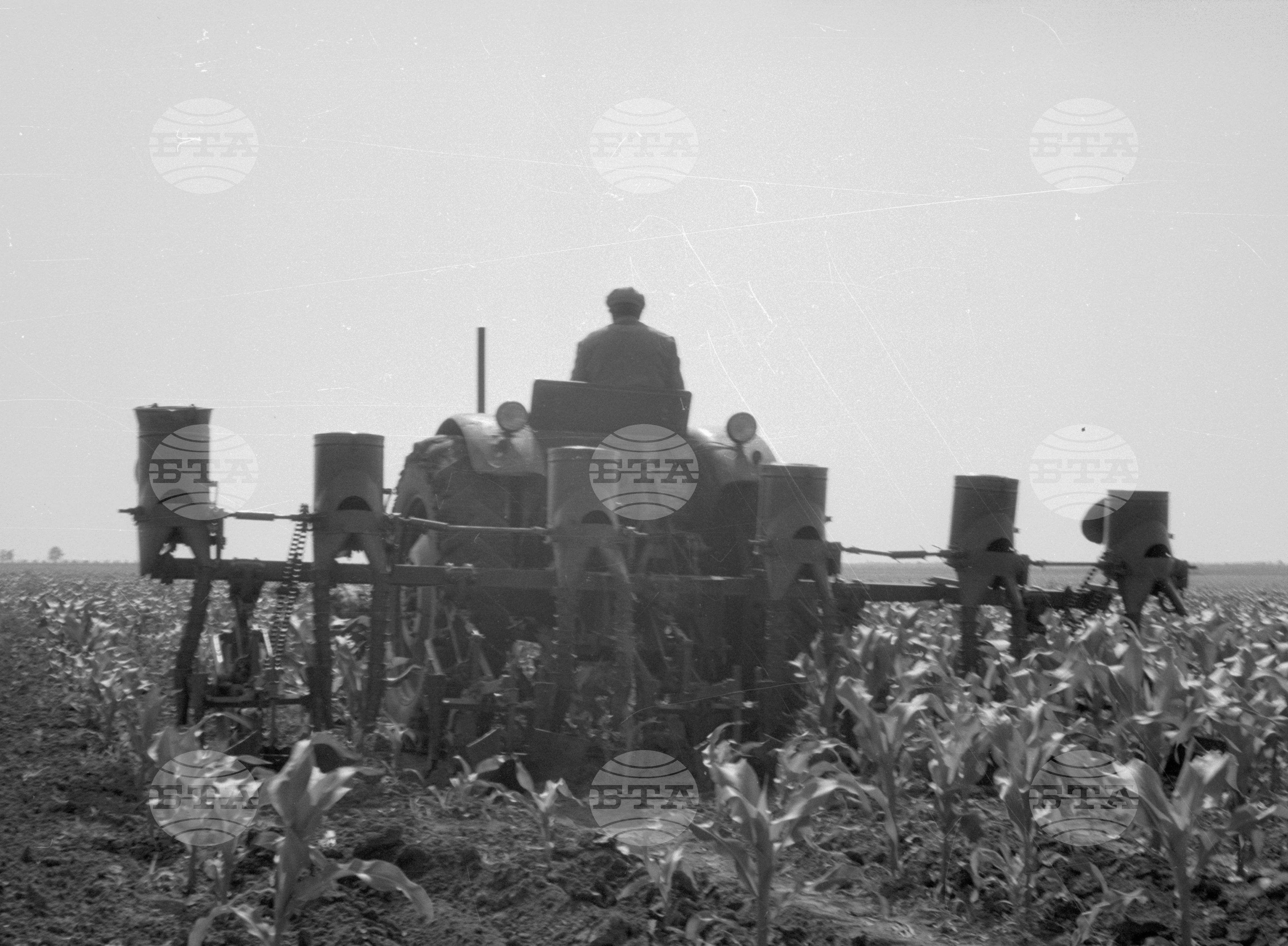 Снимки от Видински окръг - 1963