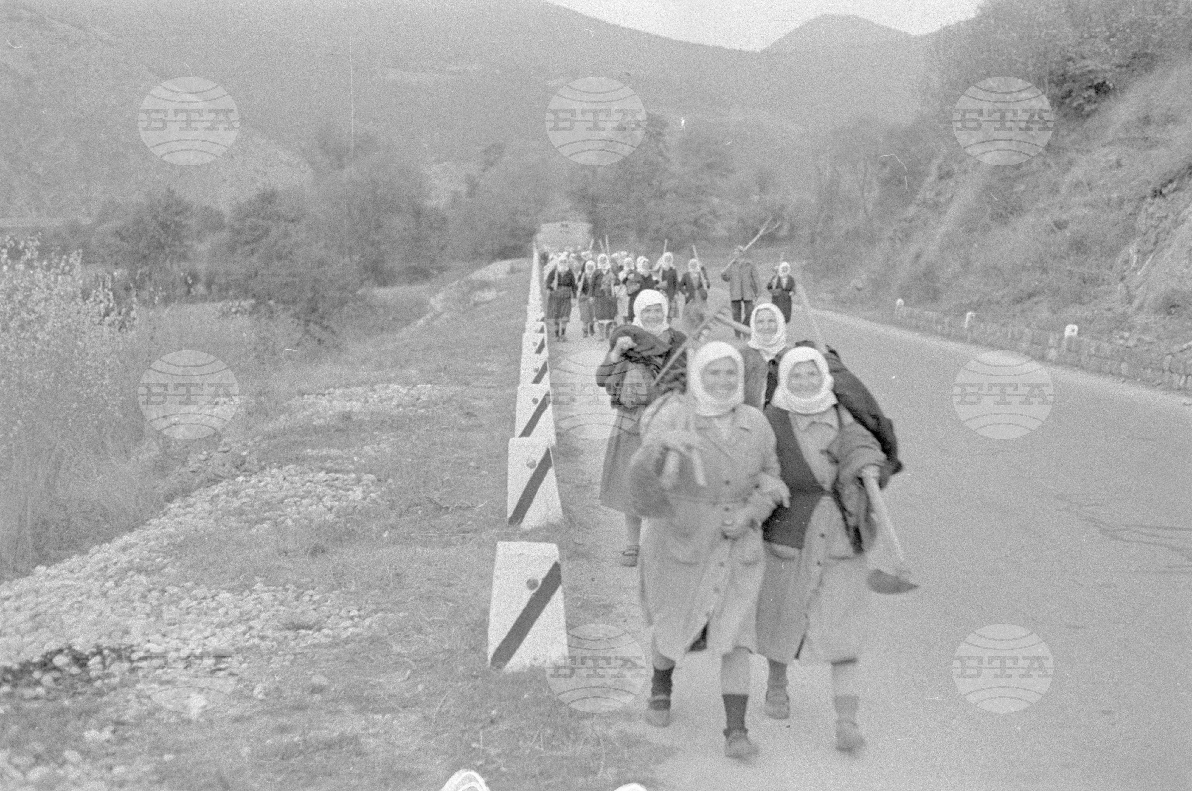 Работници от ДЗС (Държавно земеделско стопанство) село Пасарел се завръщат от работа