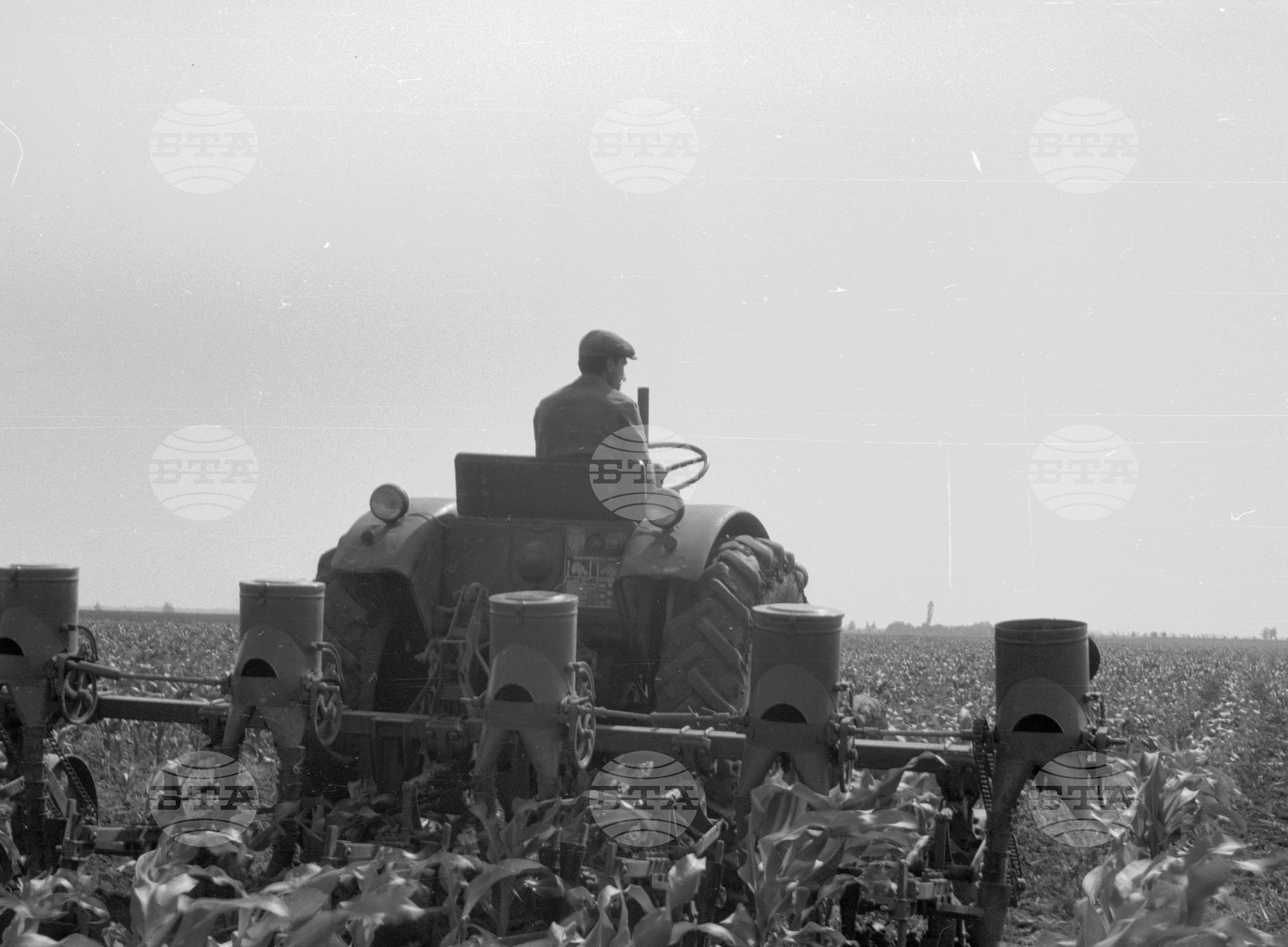 Снимки от Видински окръг - 1963