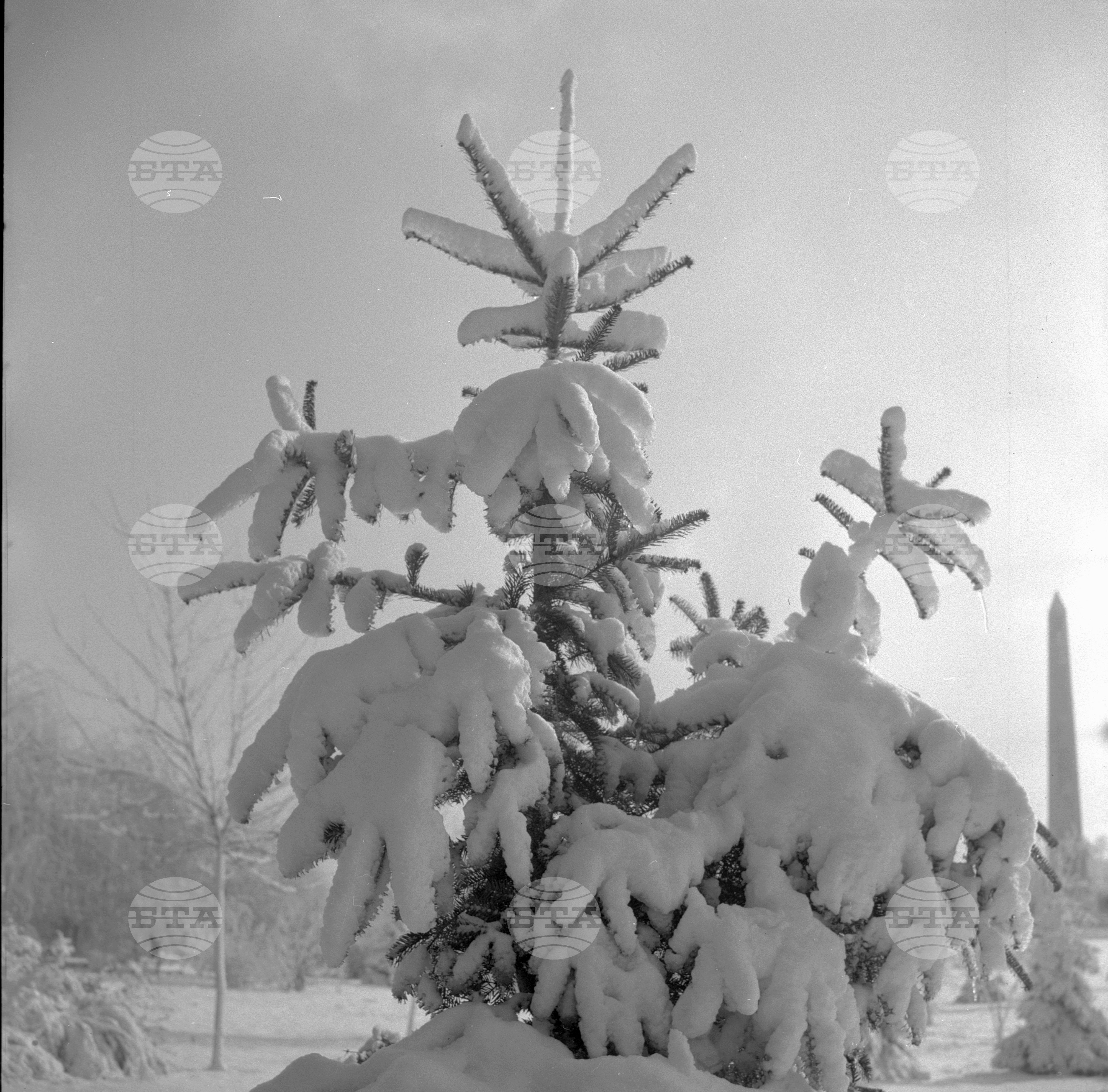 Първи сняг - 1962 година