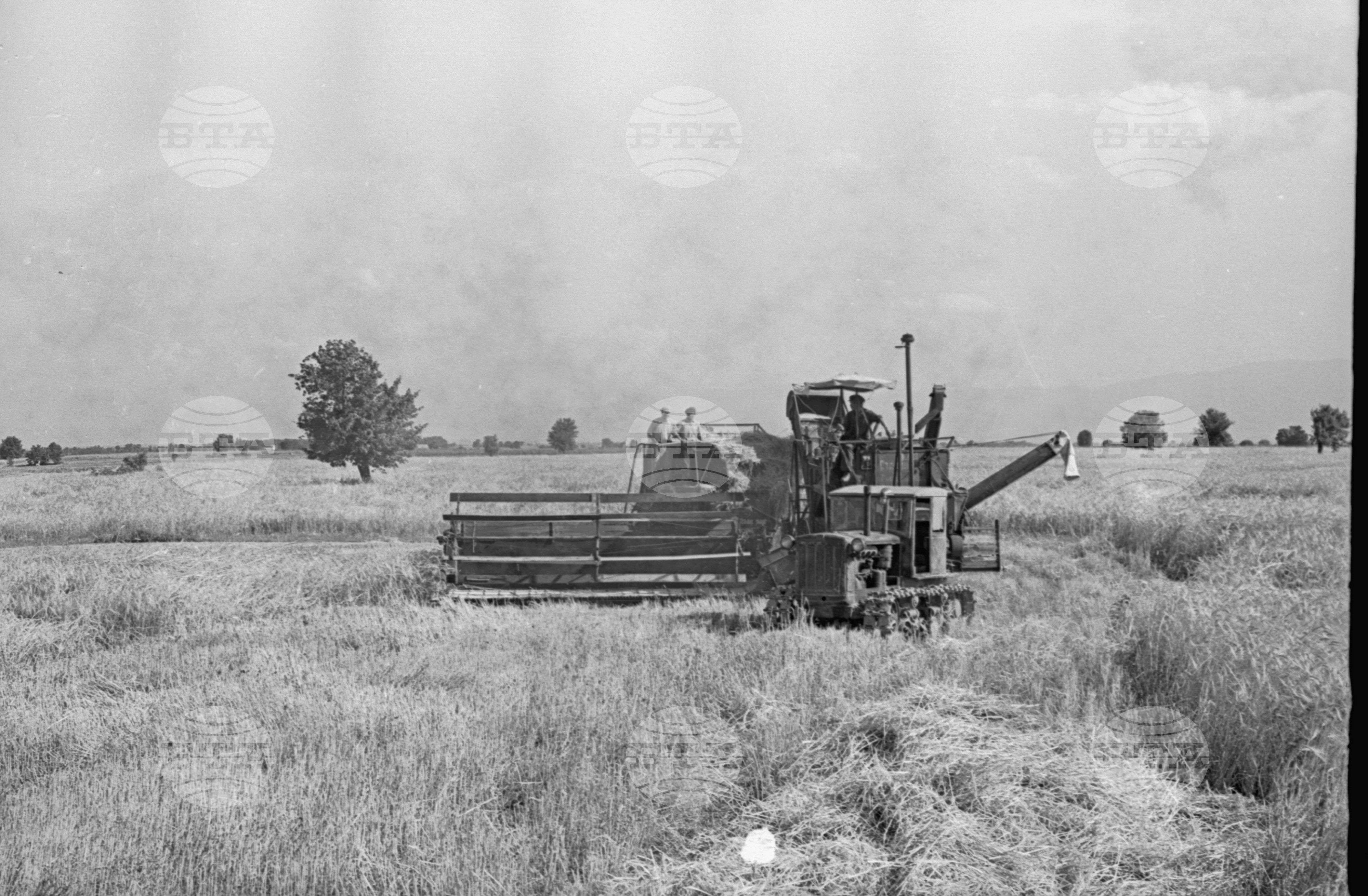 село Маноле, втора Пловдивска околия