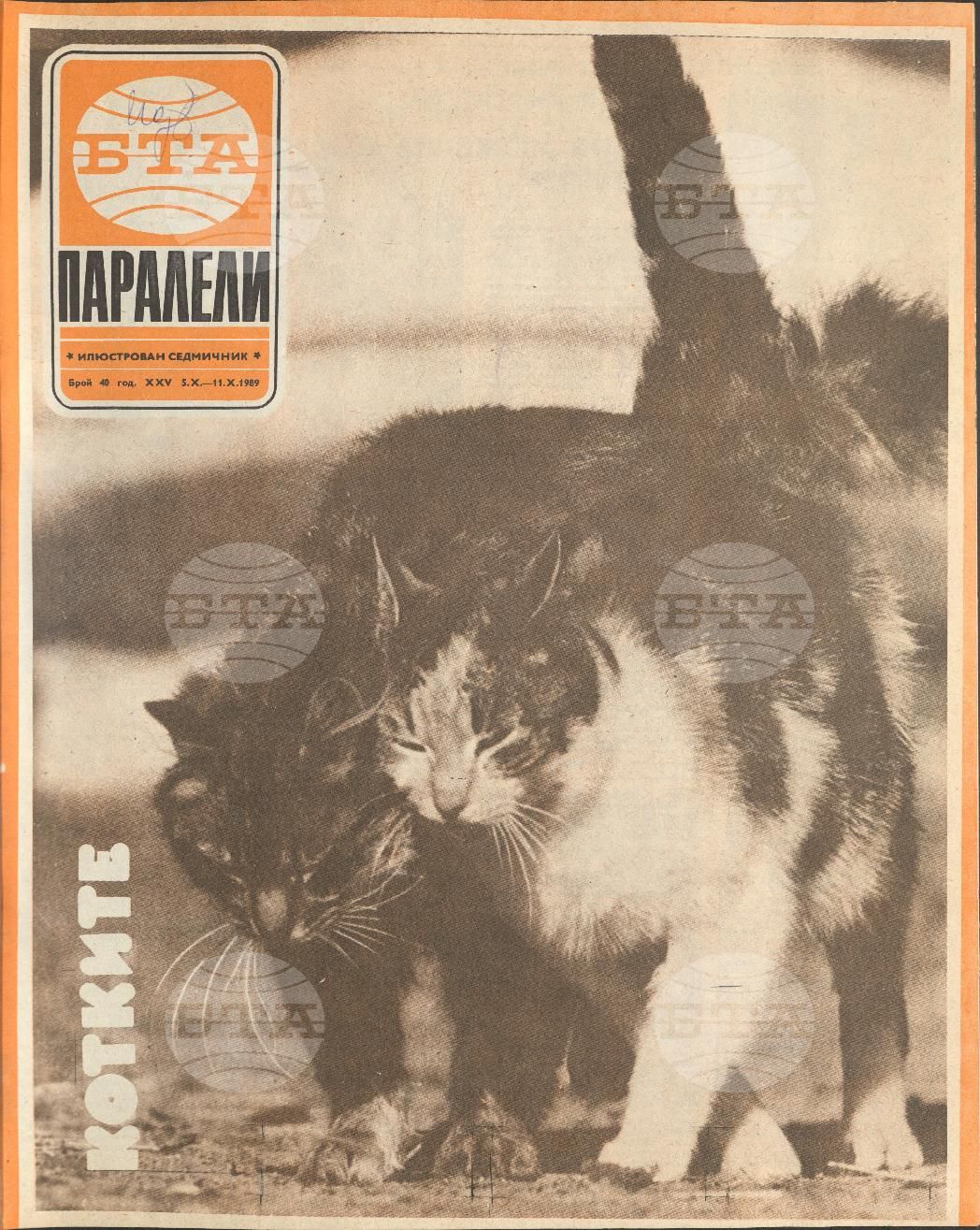 Паралели 1 - 52 брой 1989 година