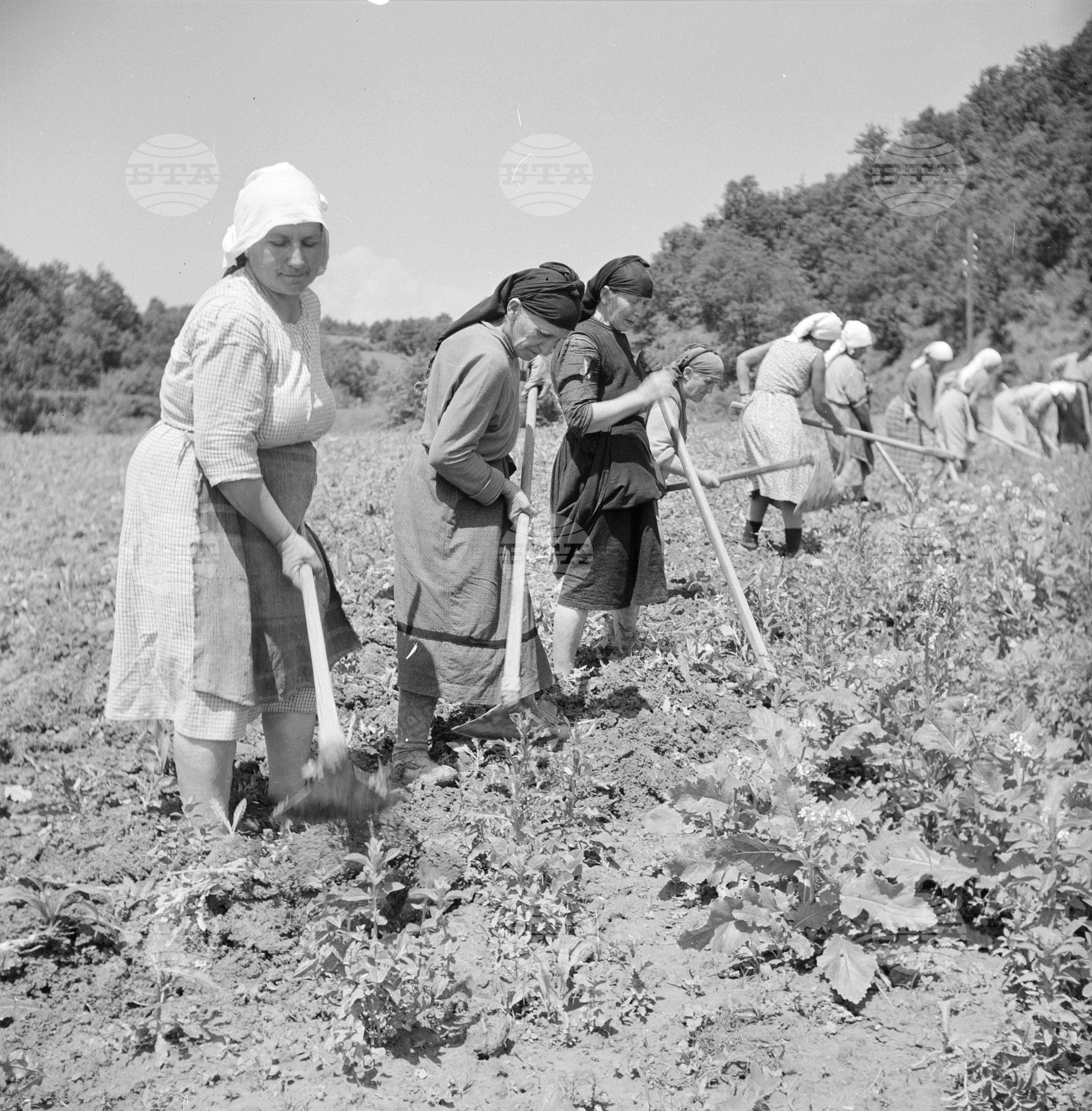 ТКЗС село Киевци, Габровски окръг
