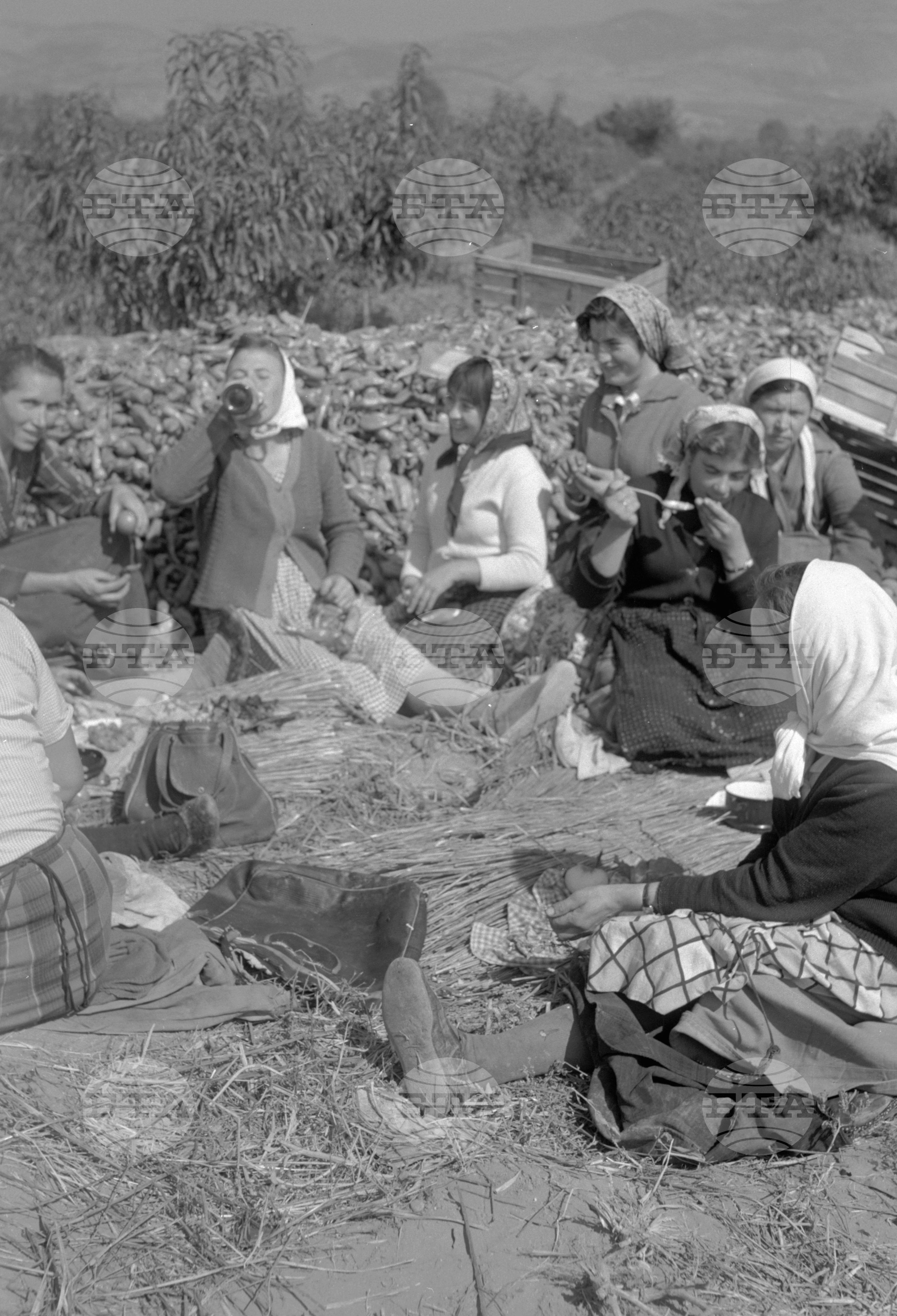 Из Кюстендилски окръг - септември 1962 година