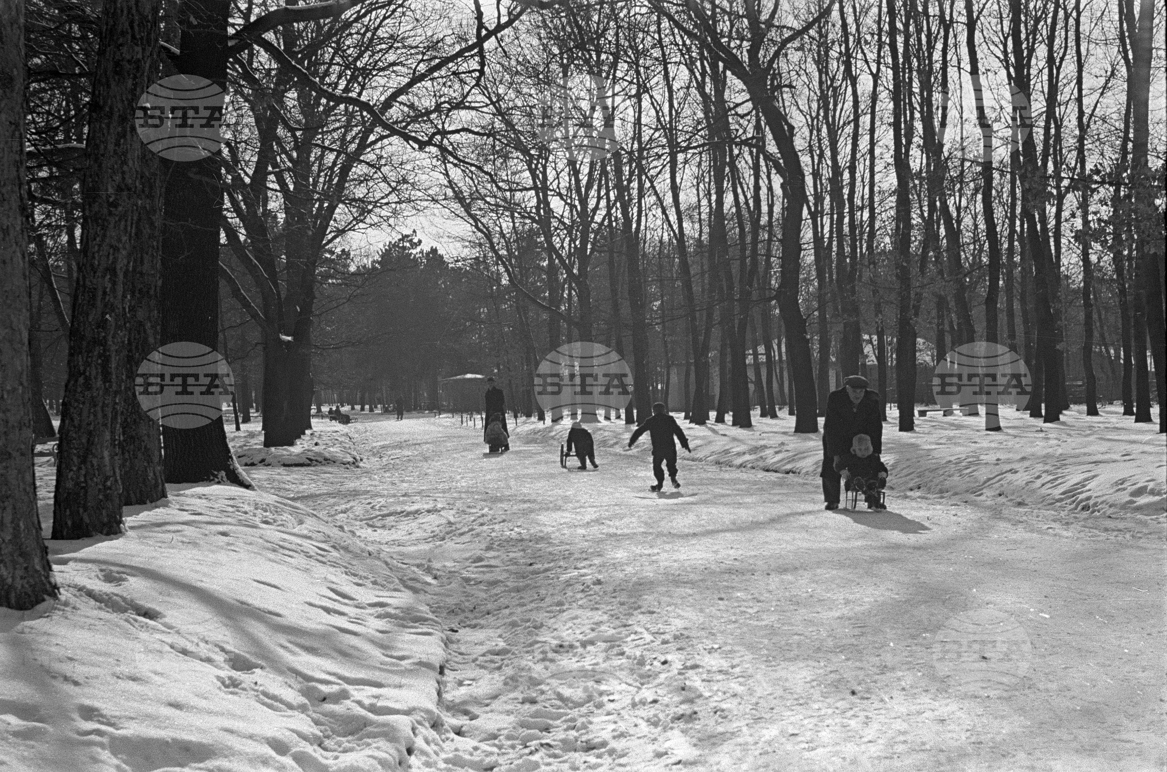 Зимни пейзажи от Парка на свободата в София - 1953 година
