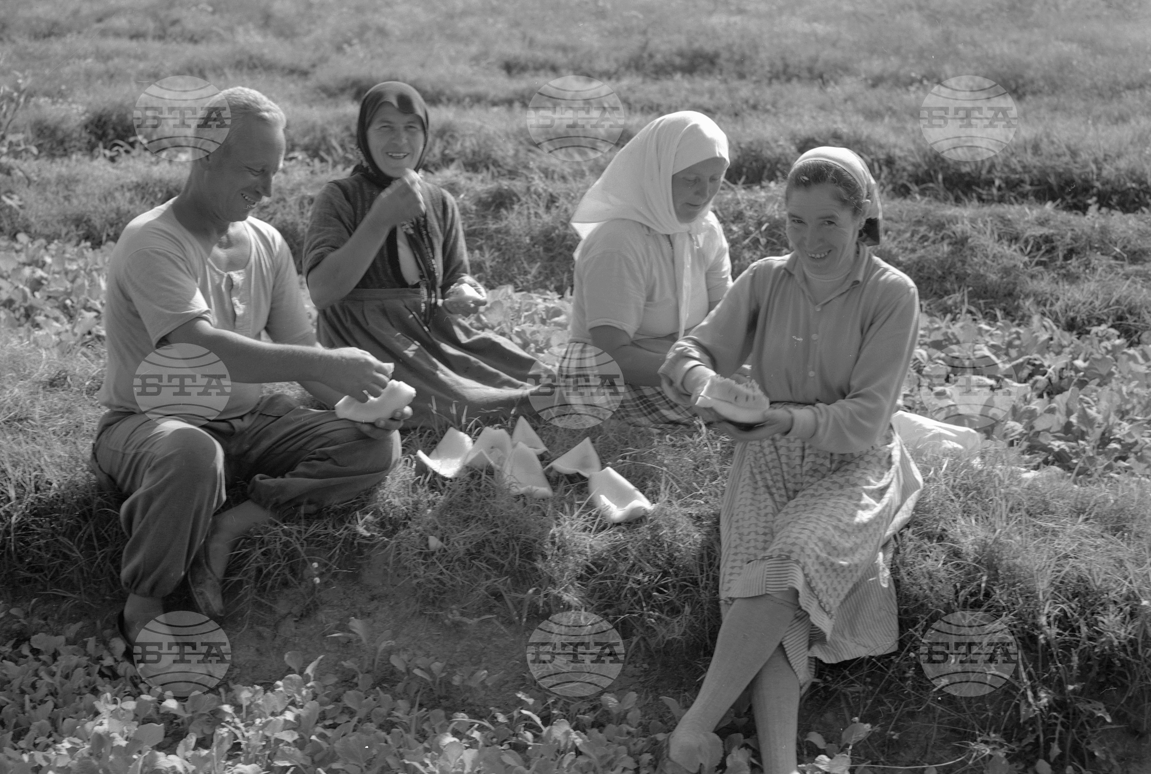 Из Пловдивски окръг - 1963 - част 2