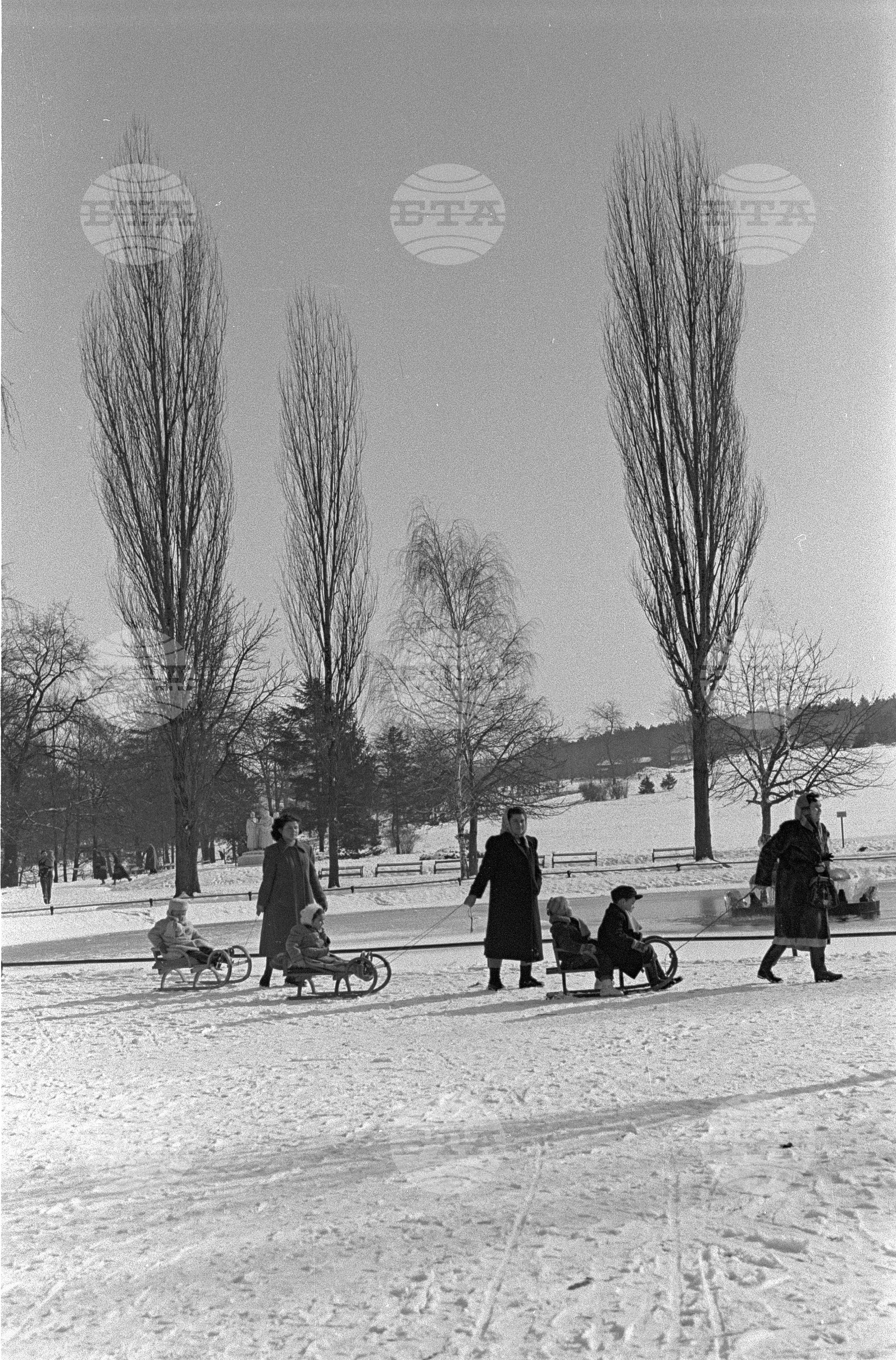 Зимни пейзажи от Парка на свободата в София - 1953 година