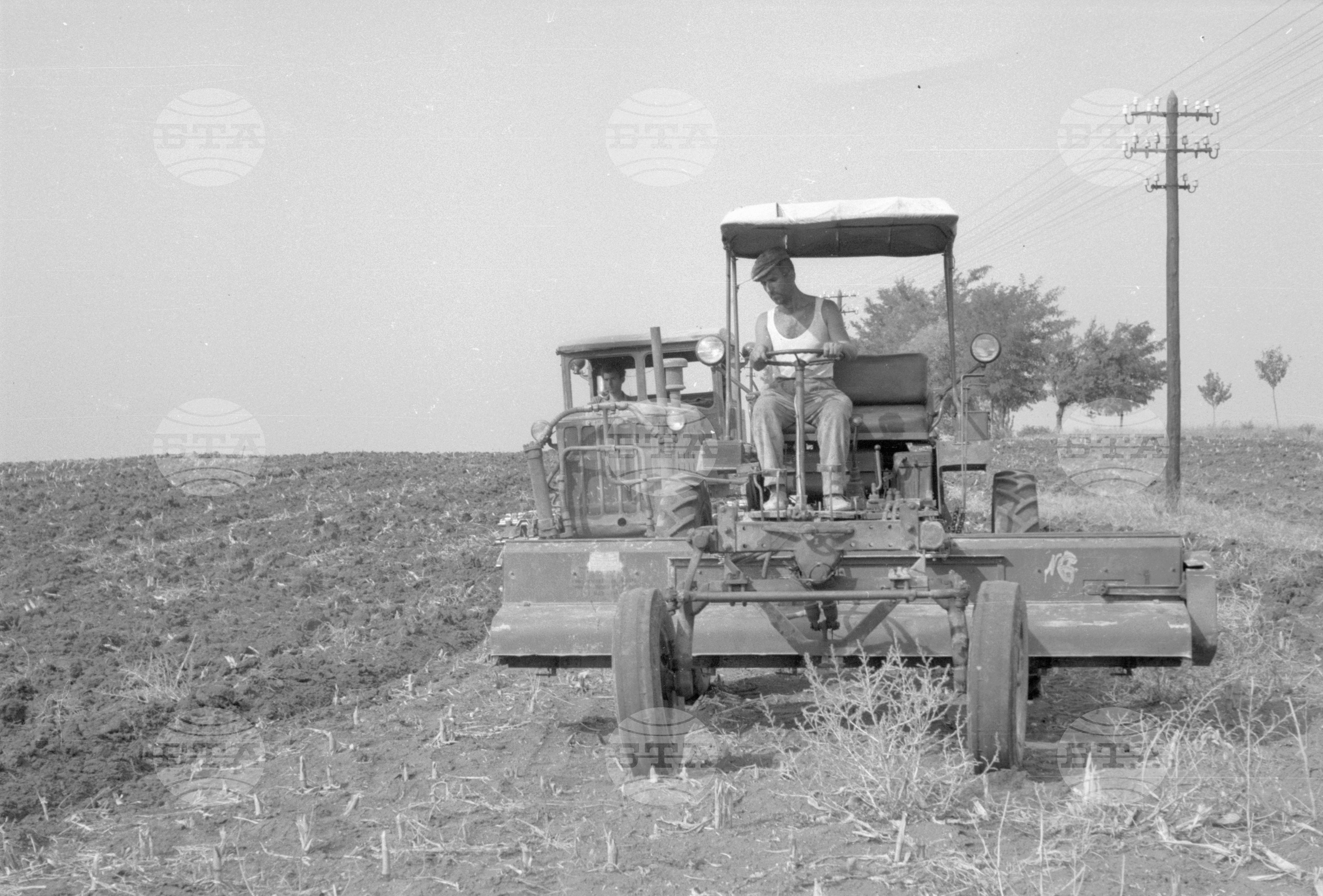 Есенна сеитба във Видин - 1963