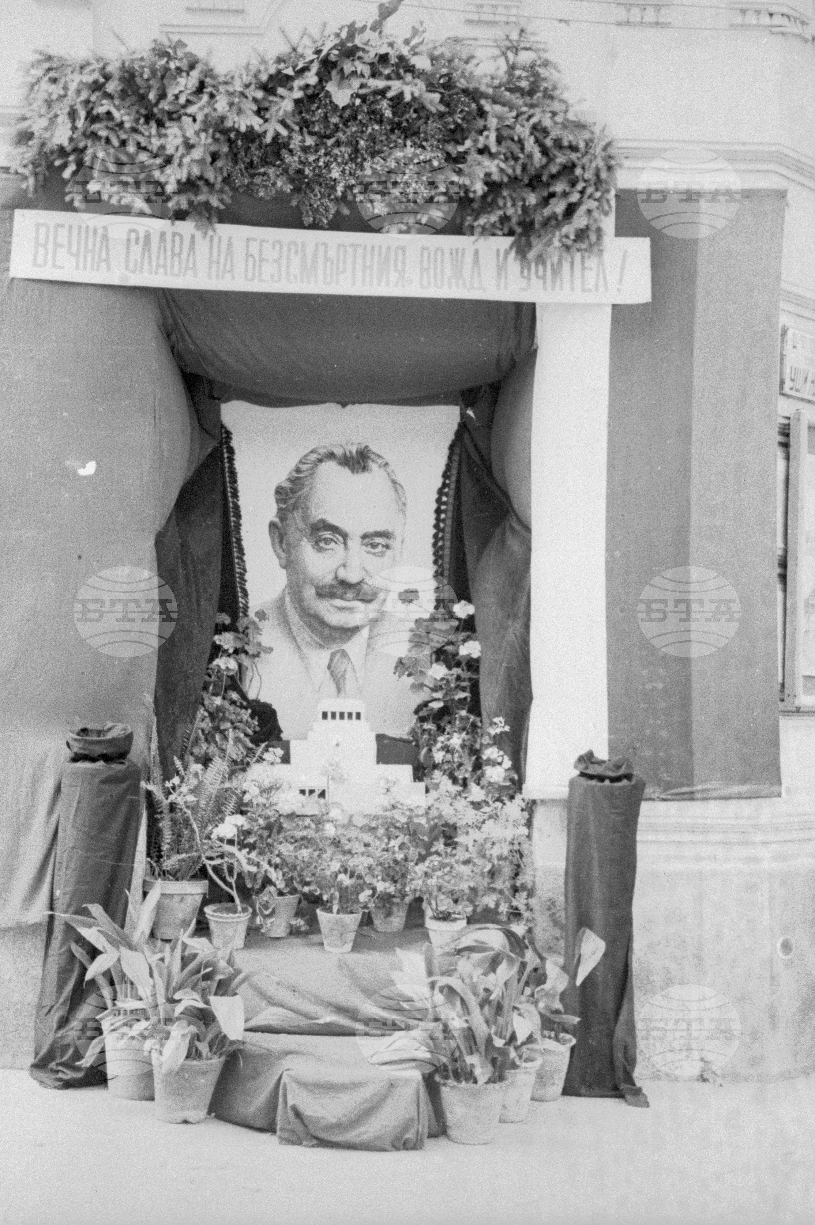 Кът с цветя с портрет на Георги Димитров в негова почит