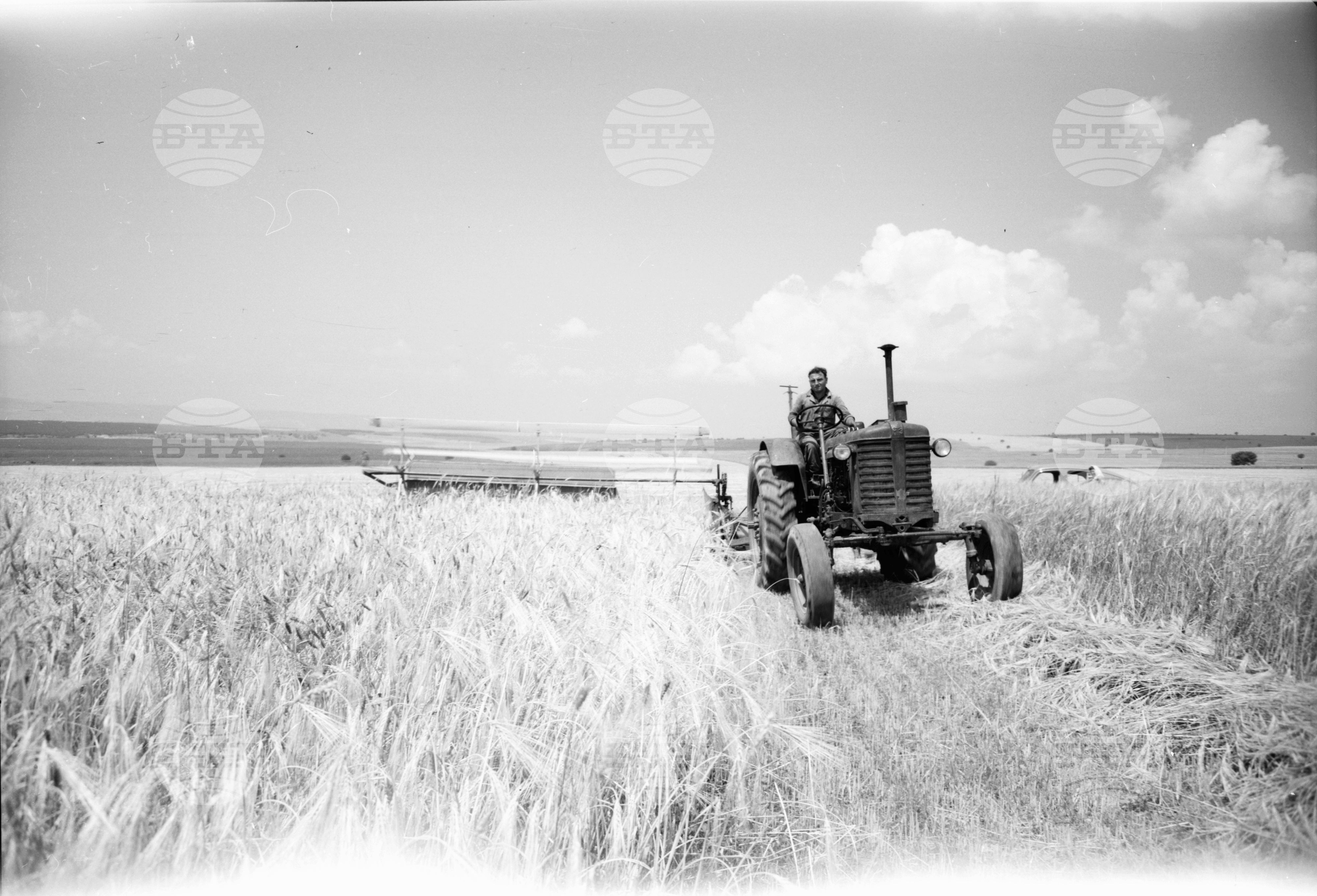 Из Търговищки окръг 1963 годишна