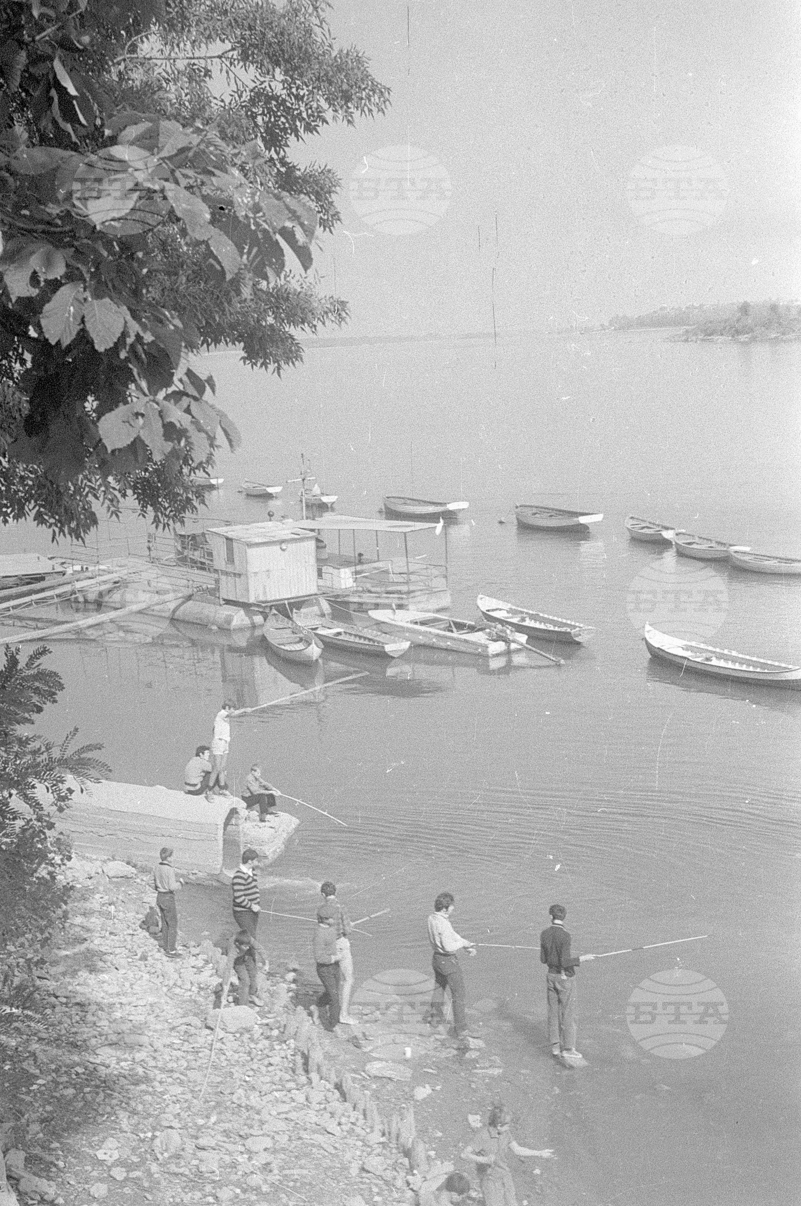 Есента във Видин през 1971 година