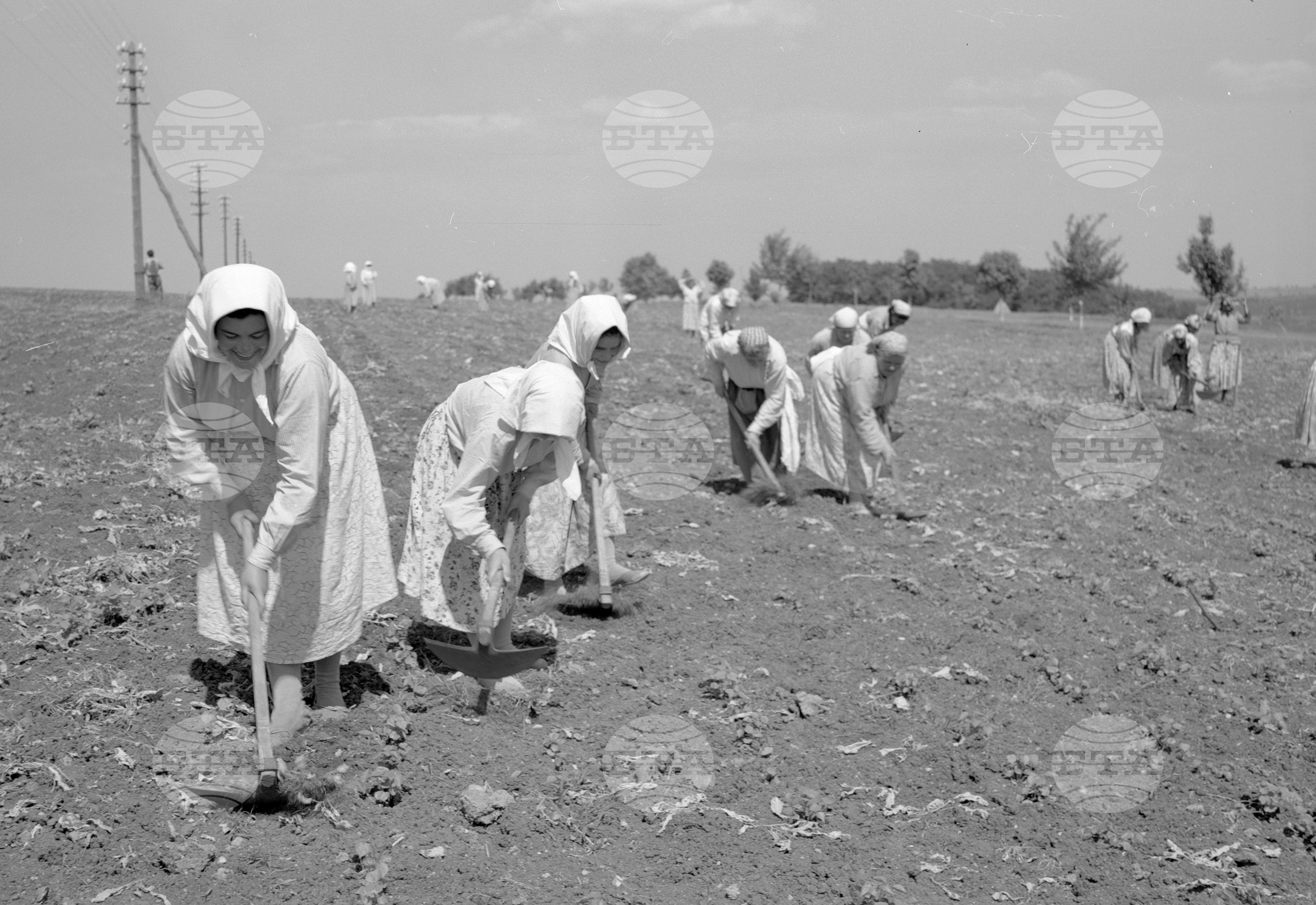 Из Старозагорски окръг-1963