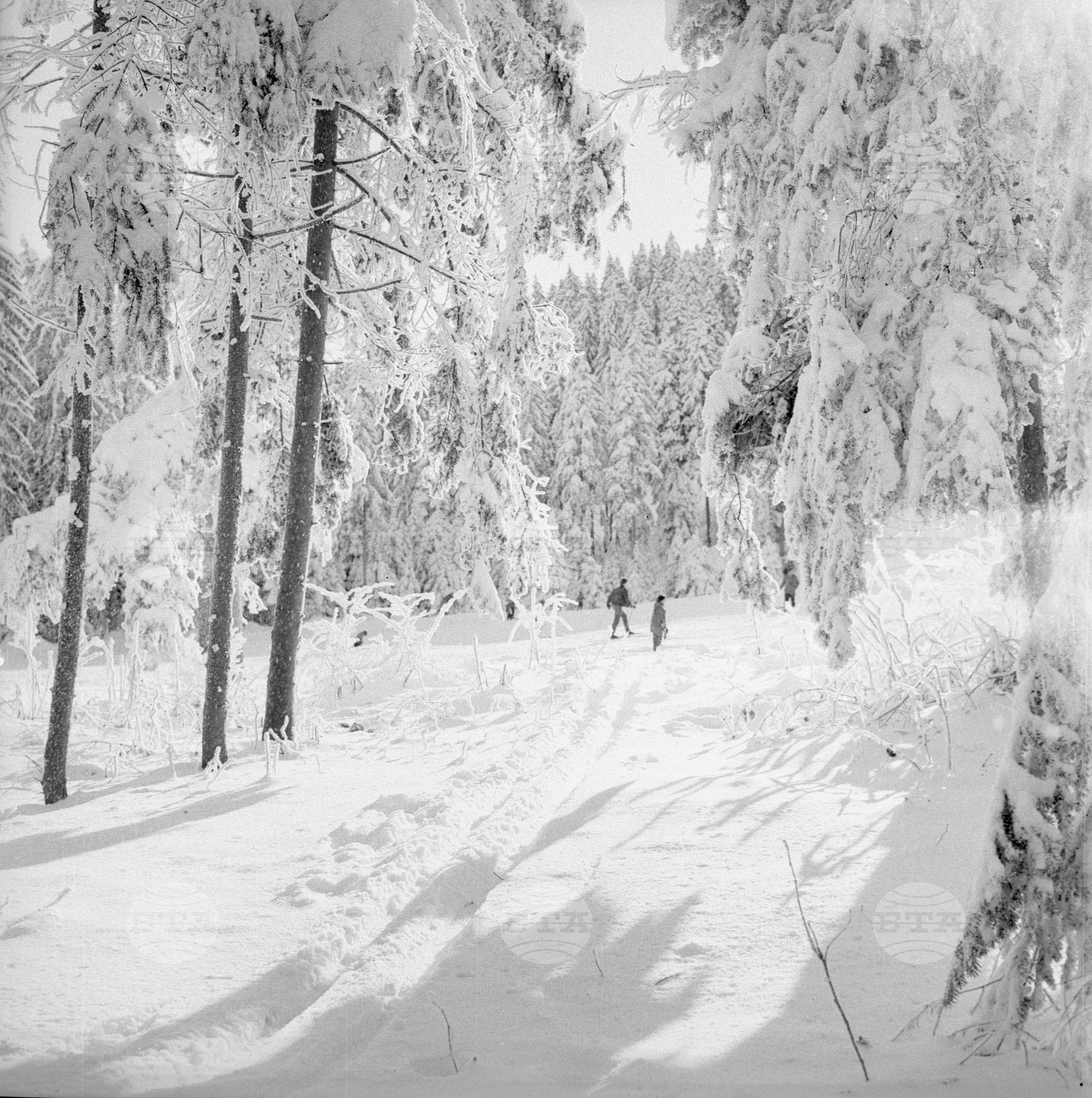 Боровец - изглед