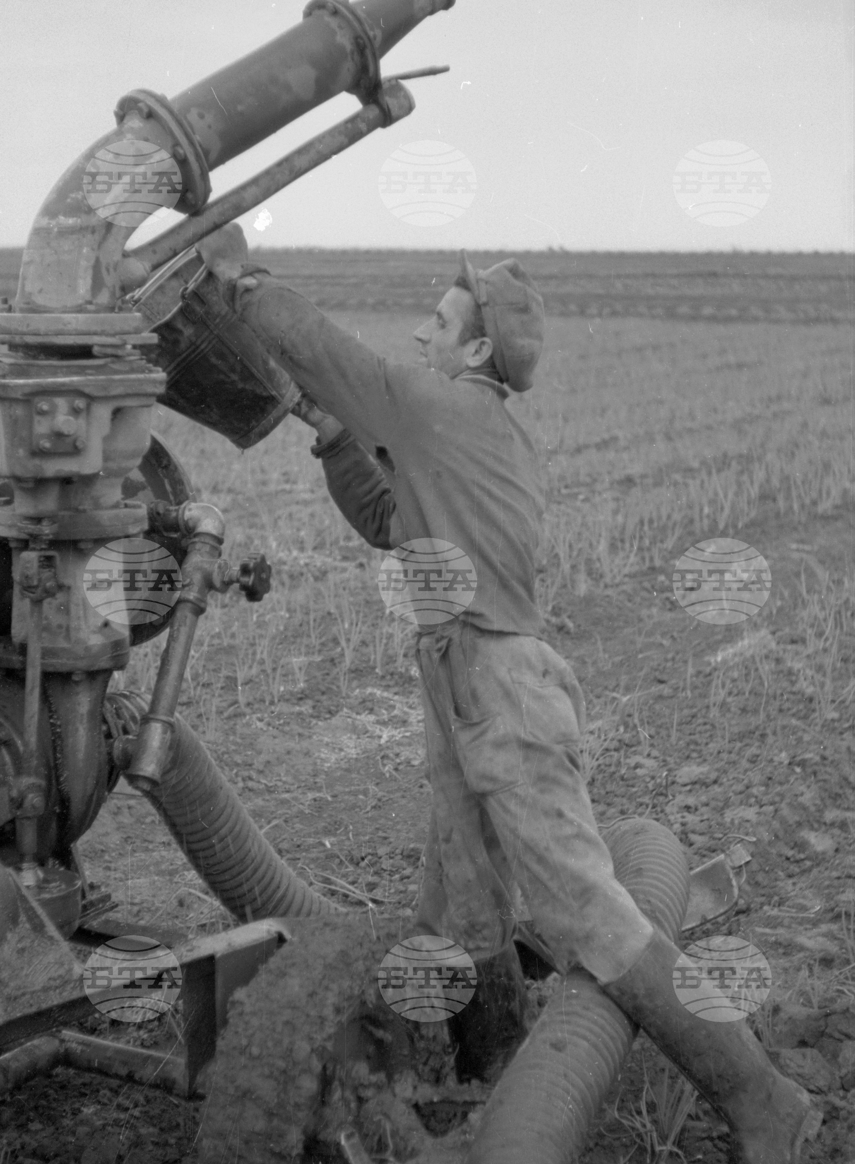 Снимки от Видински окръг - 1963