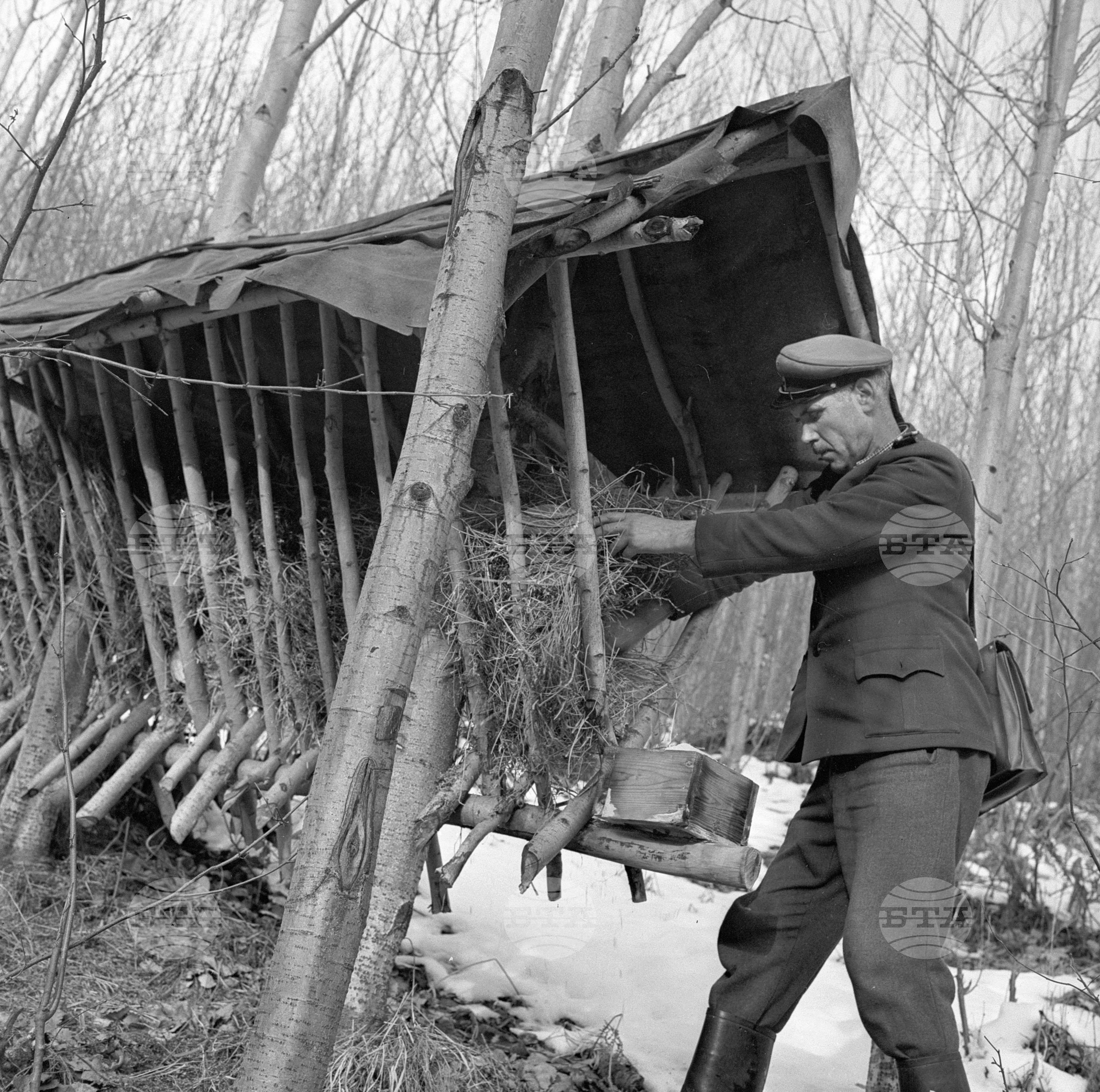 Горско стопанство в град Самоков - 1972 година