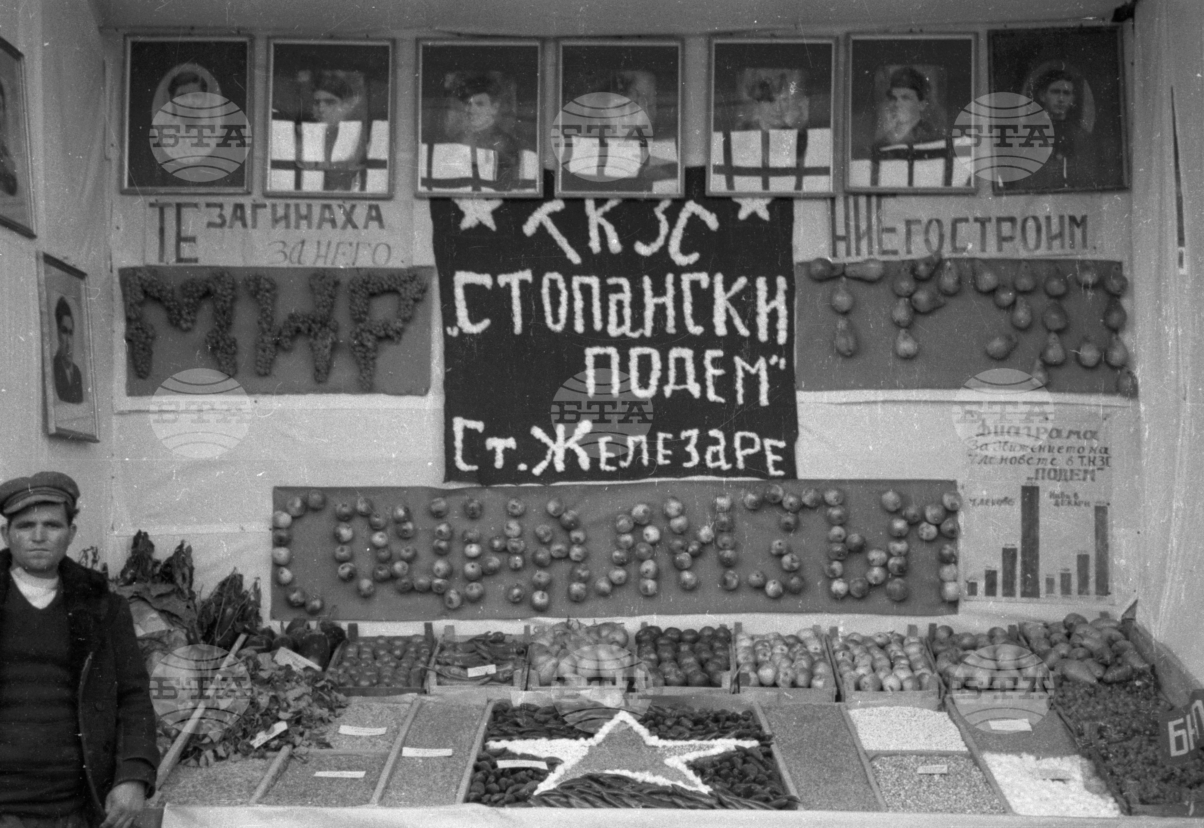 Селскостопанска изложба в Левскиград (дн. Карлово), 1951