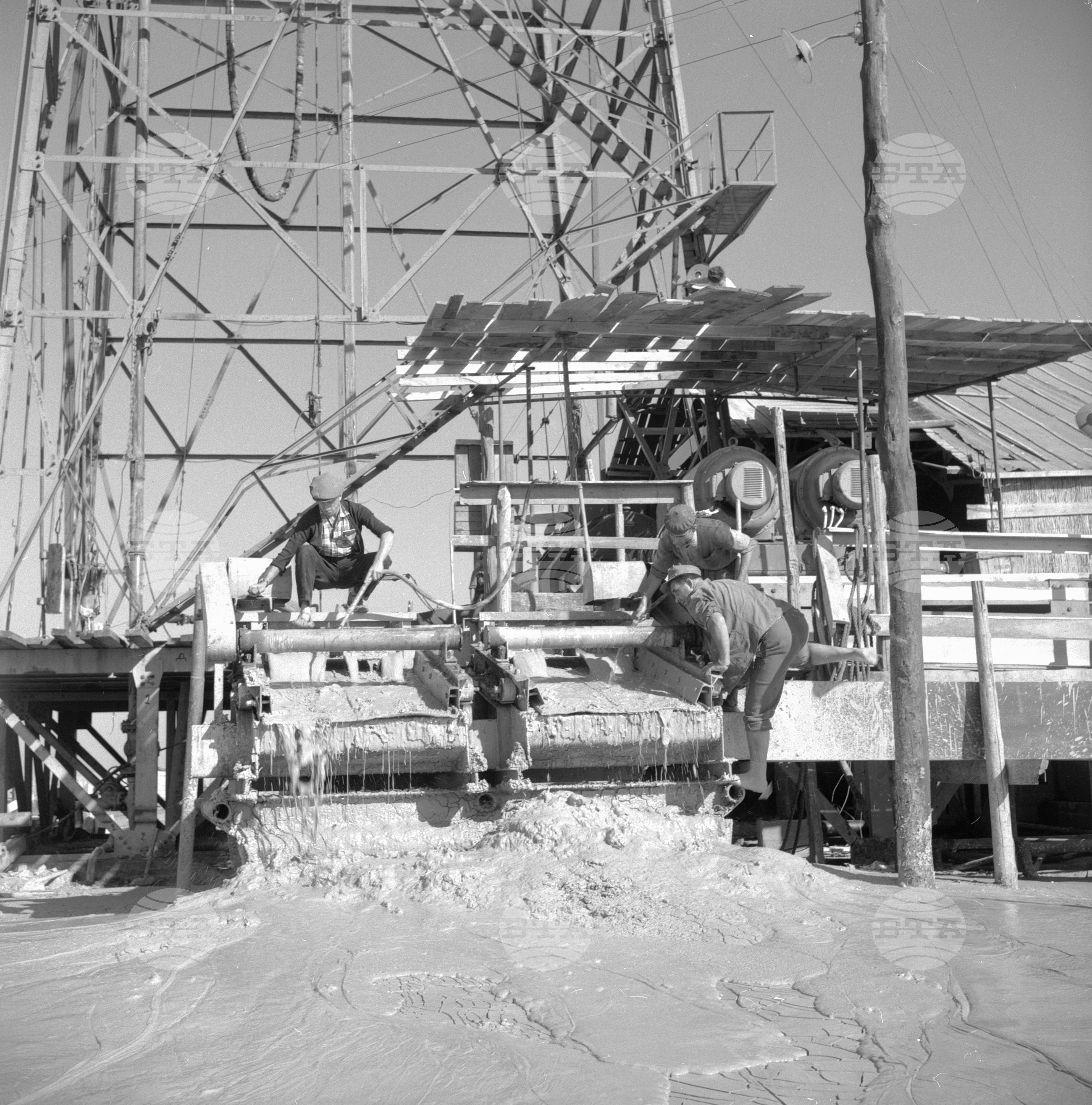 Роден нефт край село Долни дъбник, Плевенско