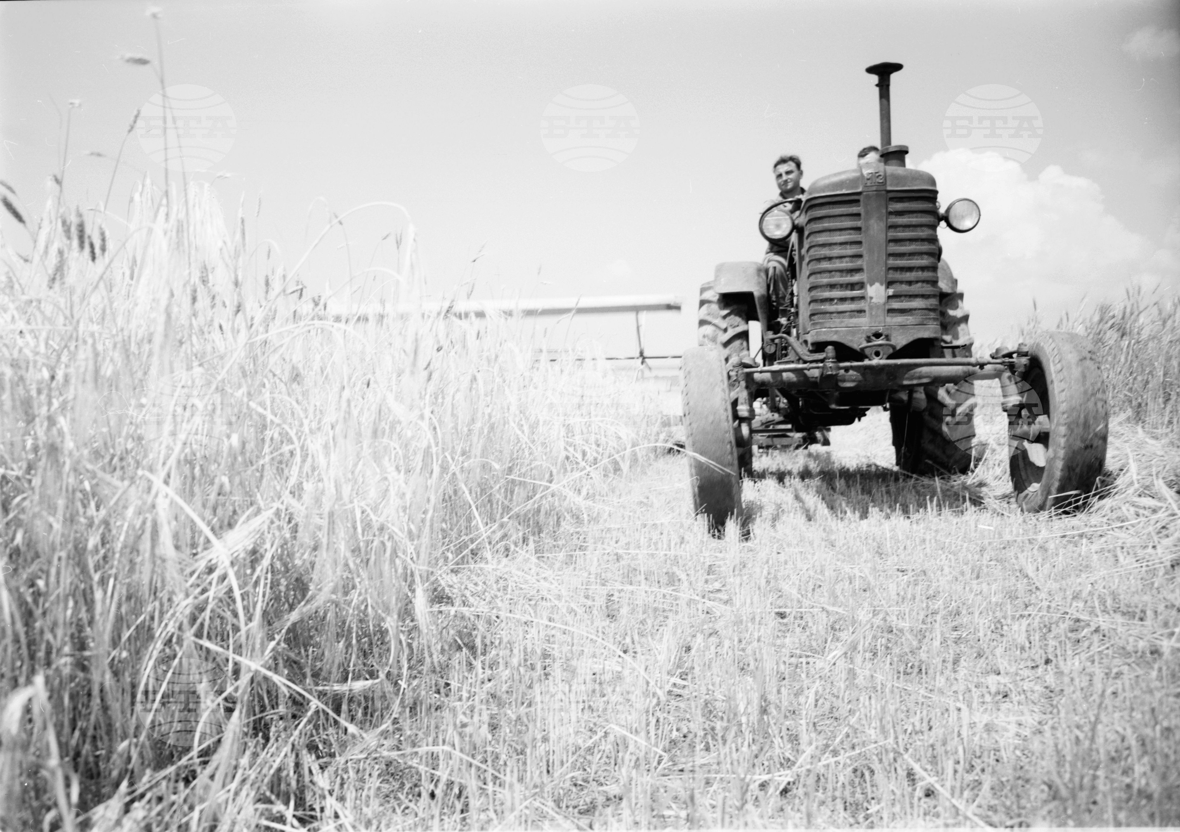 Из Търговищки окръг 1963 годишна