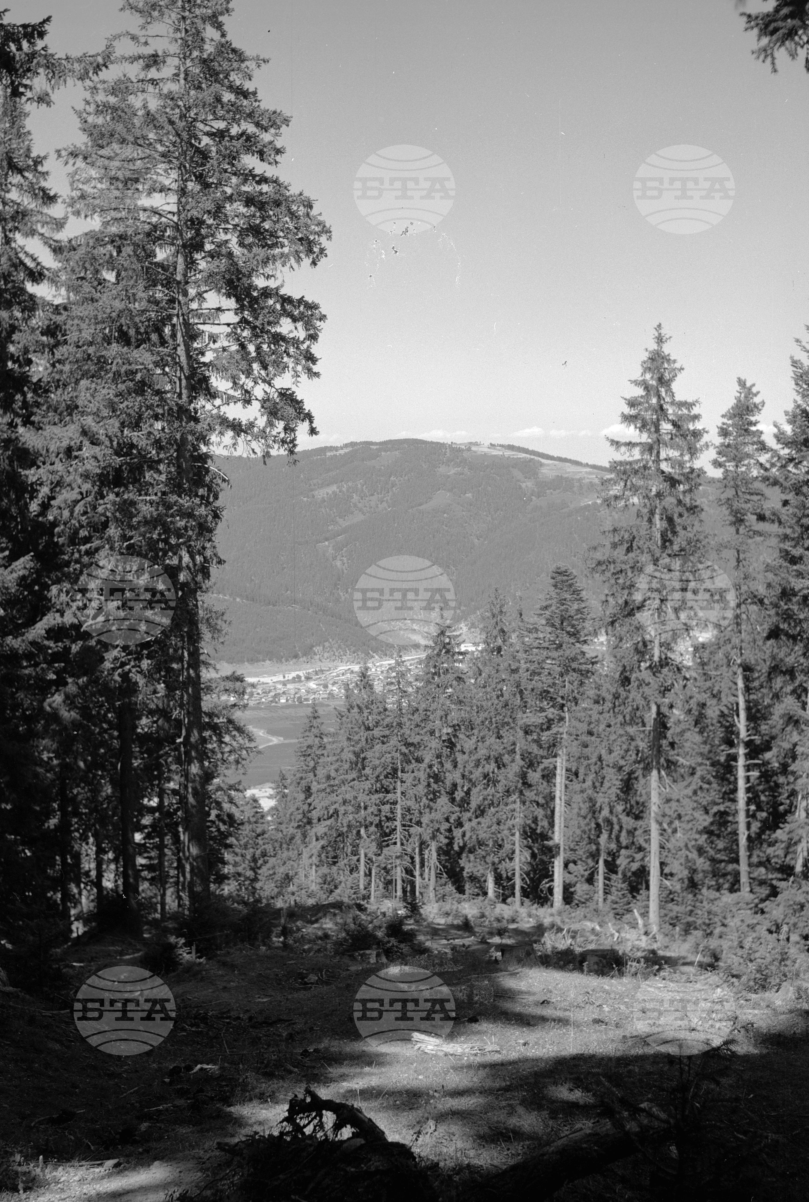 Красива е нашата родина 1963 година