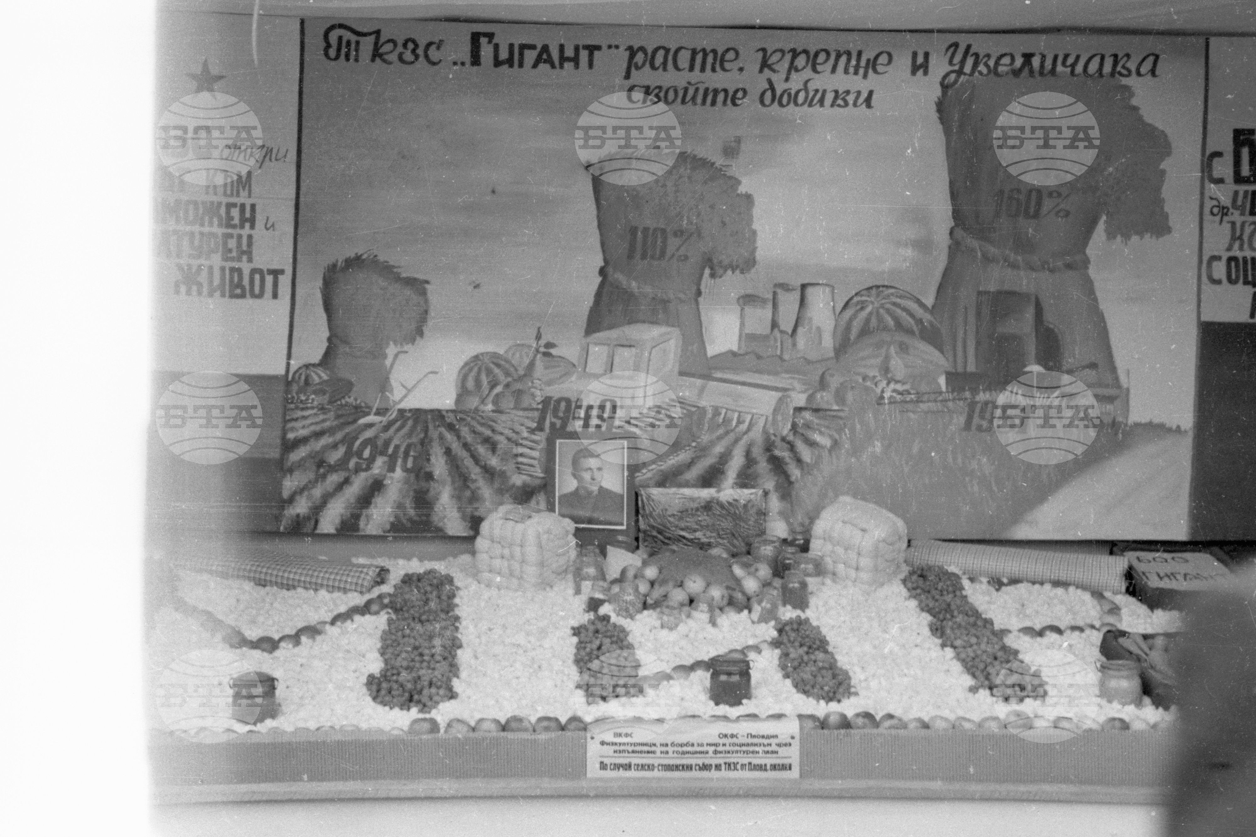 Селскостопанска изложба в Левскиград (дн. Карлово), 1951
