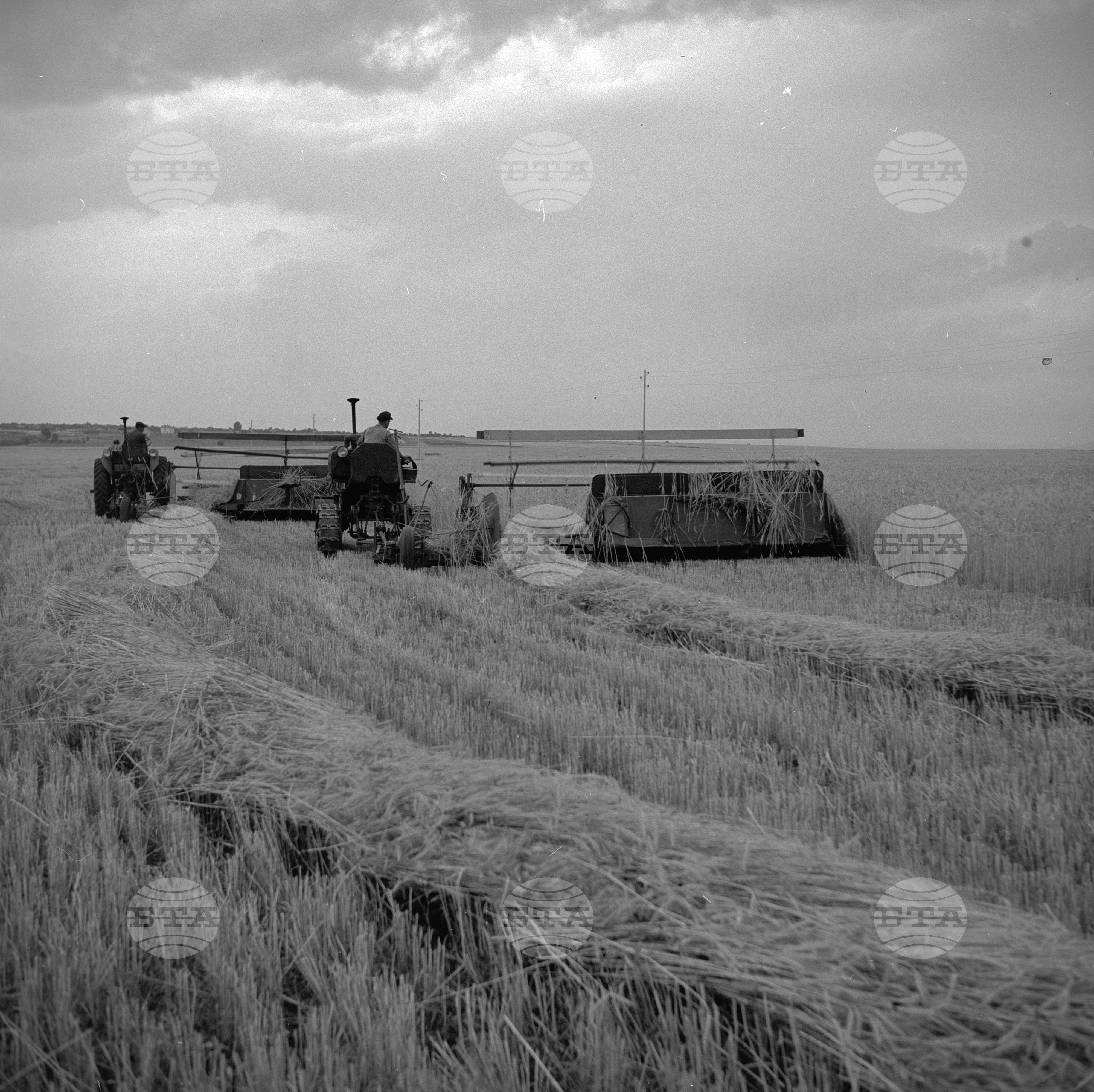 Жътвени дни в село Искра, Бургаски окръг