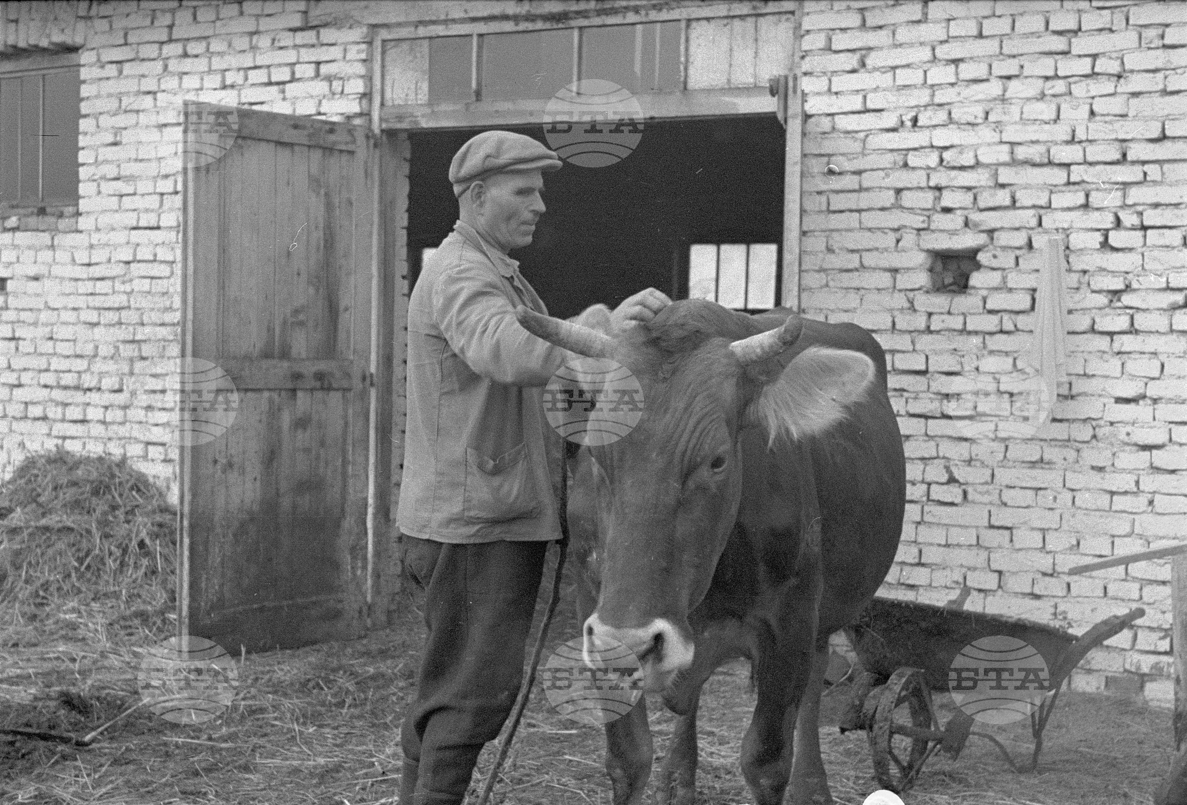 Трудово кооперативното земеделско стопанство (ТКЗС) - Софийска област
