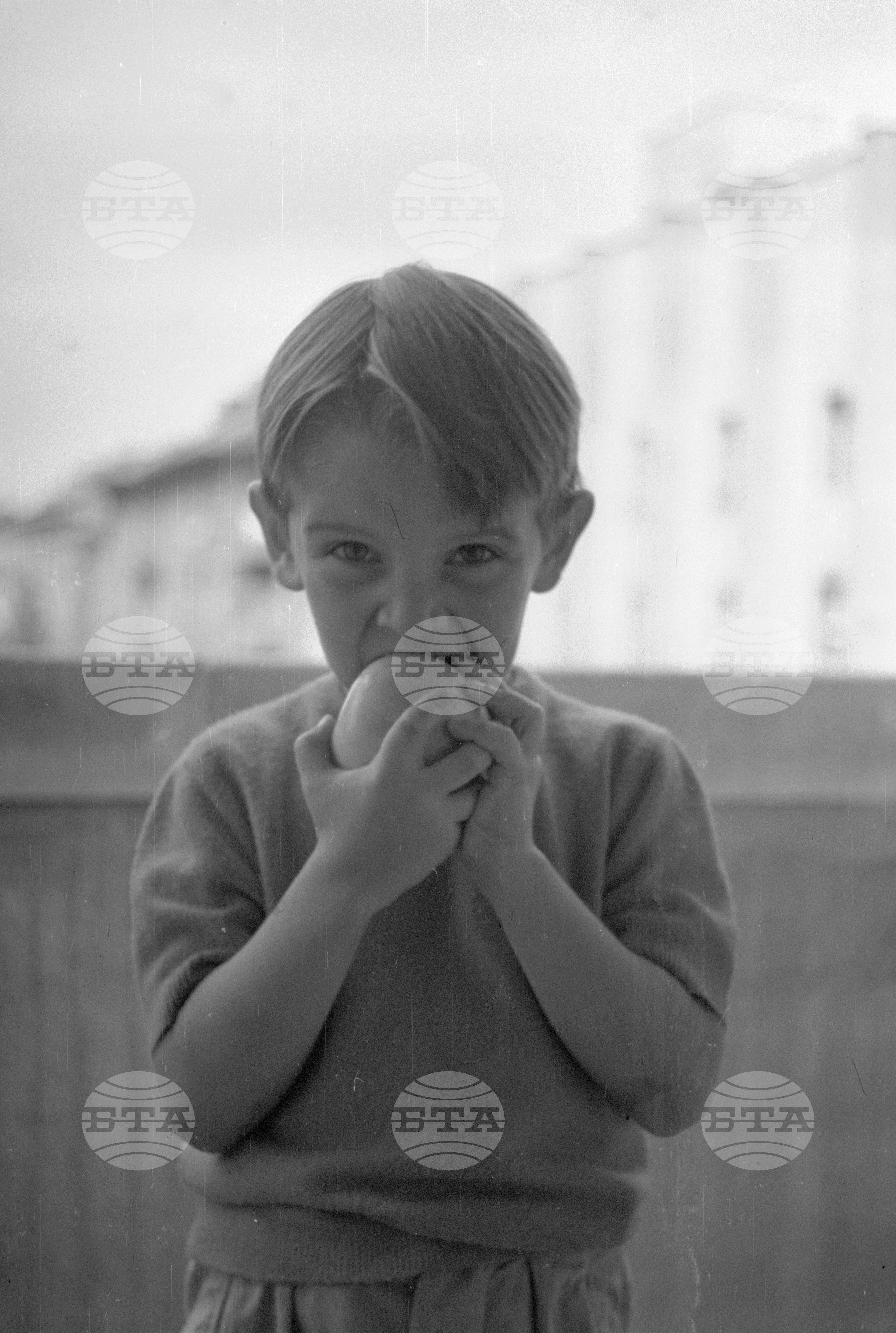 Из Кюстендилски окръг - септември 1962 година
