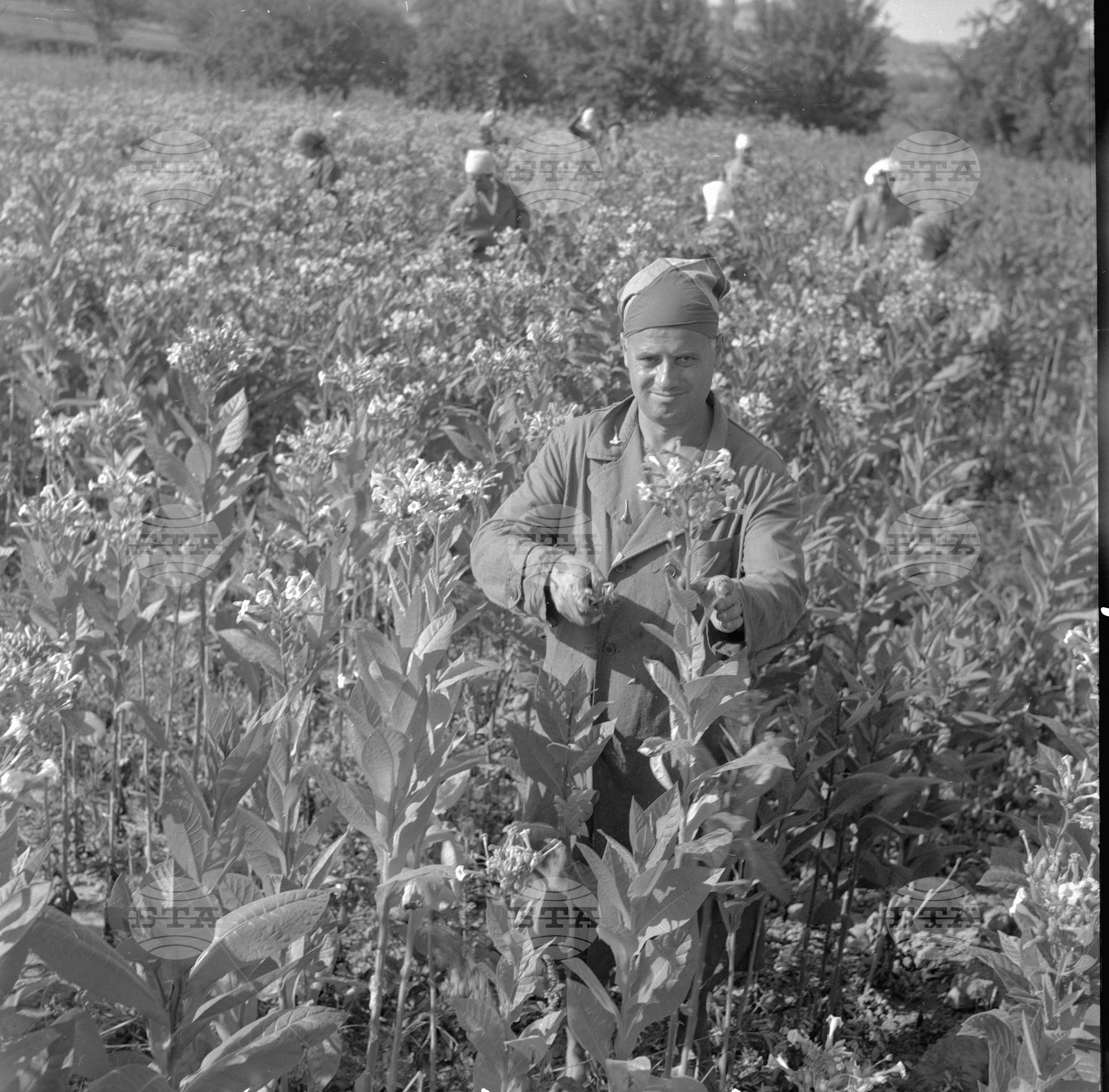 На бригада 1962 година