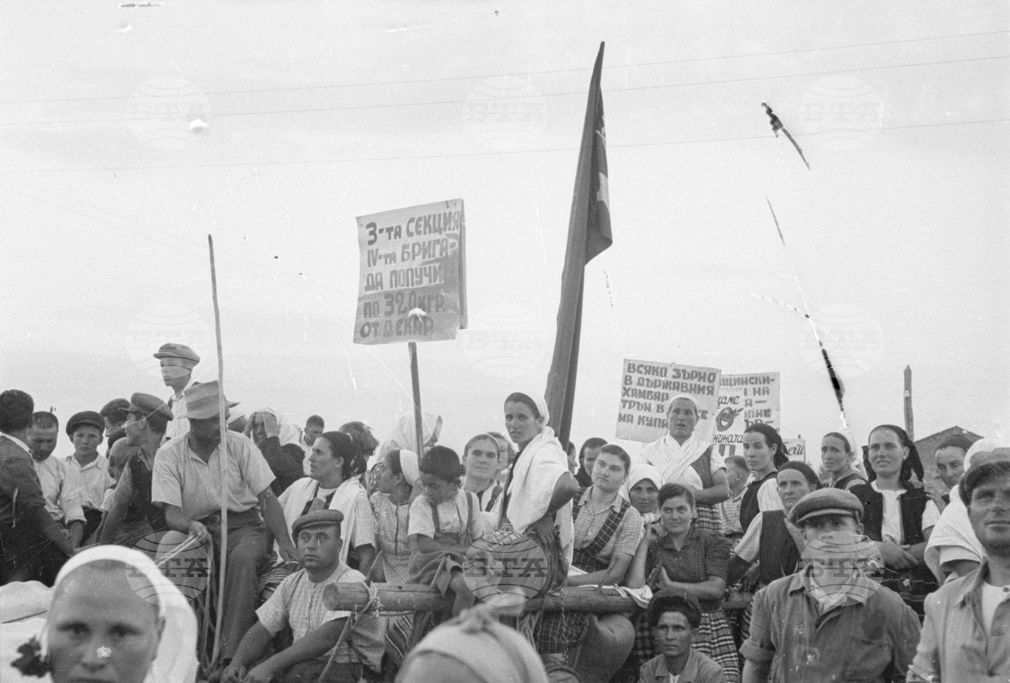 Предаване на зърнодоставки в Голямо Конаре (днес град Съединение), 1951