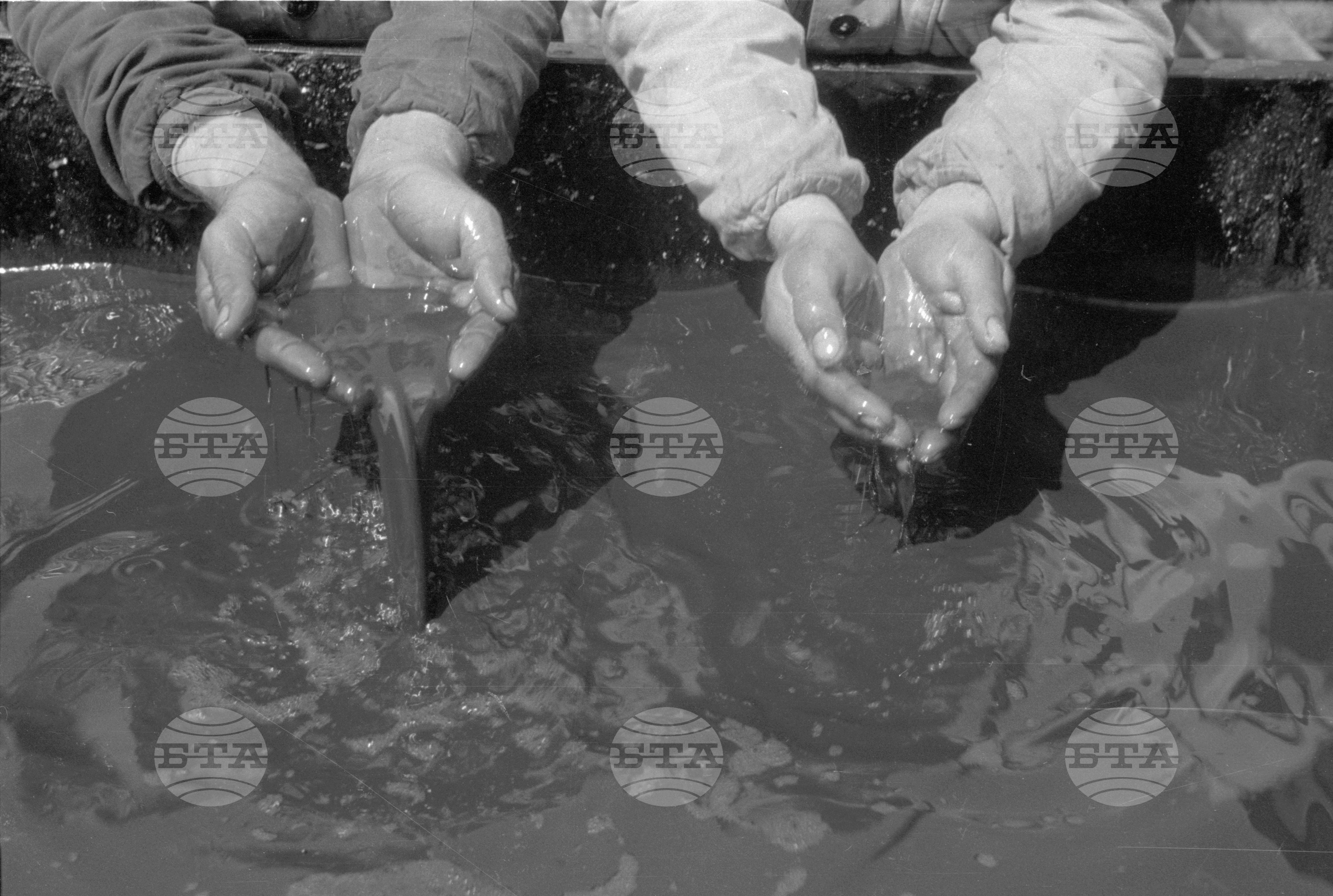 Роден нефт край село Долни Дъбник, Плевенски окръг част 2